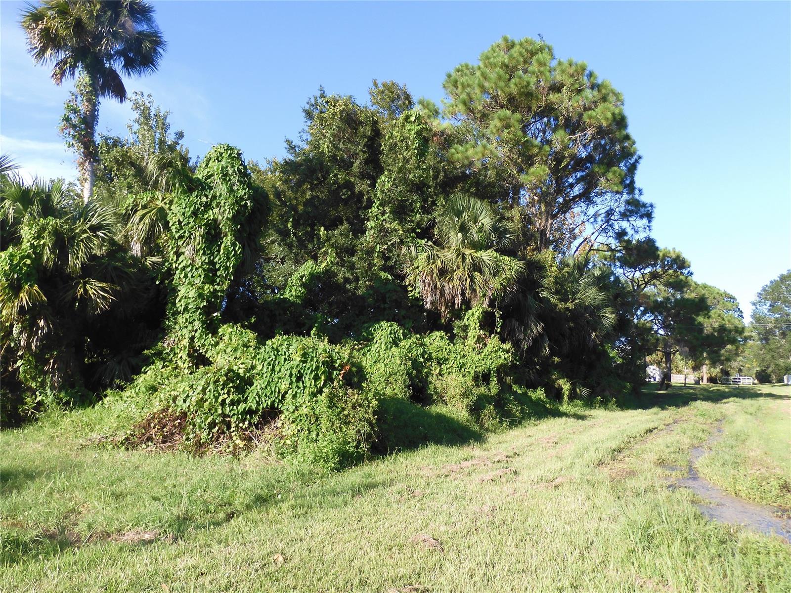 Florida Shores 01 - Land