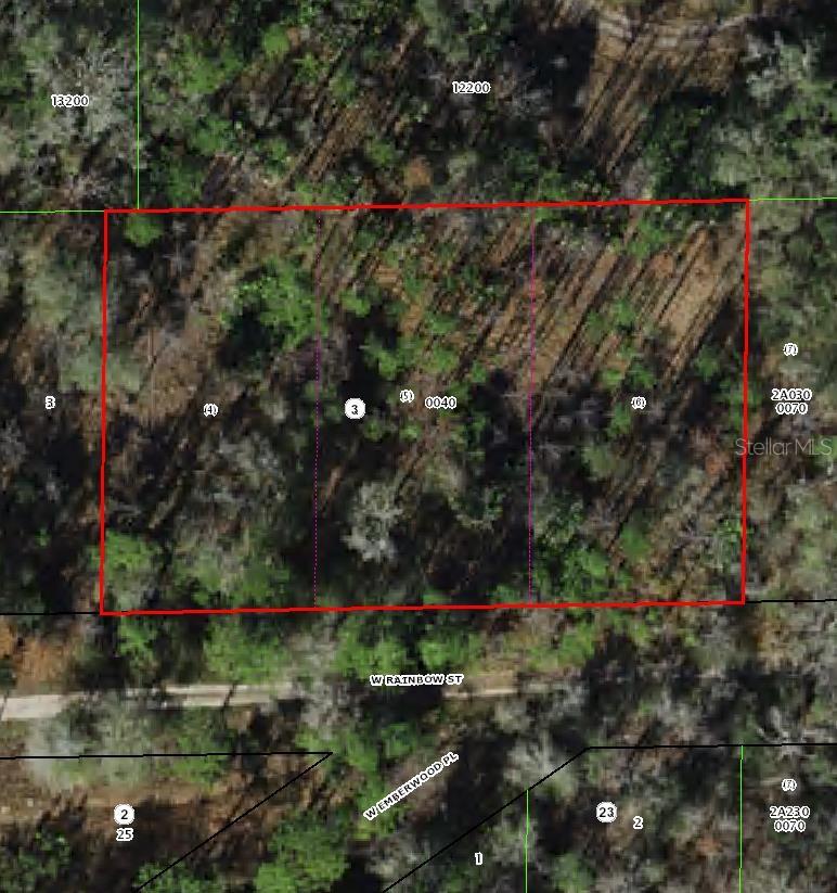 MUST BE SOLD TOGETHER WITH: 7300 W DUNNELLON RD DUNNELLON Fl 34433 + 7265 W RAINBOW ST DUNNELLON Fl 34433 + 7277 W RAINBOW ST DUNNELLON FL 34433.....Secure your piece of one of Florida’s fastest-growing markets with this prime homesite. Ideal for builders, investors, or future homeowners, this lot offers the perfect canvas for new construction in an area experiencing rapid growth and increasing demand. Whether you’re looking to build now or hold for future appreciation, opportunities like this are becoming harder to find.