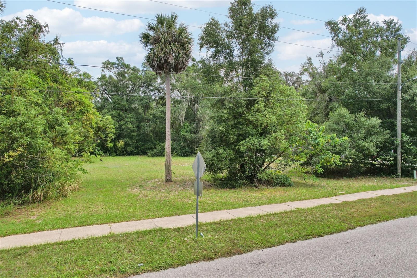 EUSTIS HAZZARDS HOMESTEAD - Land