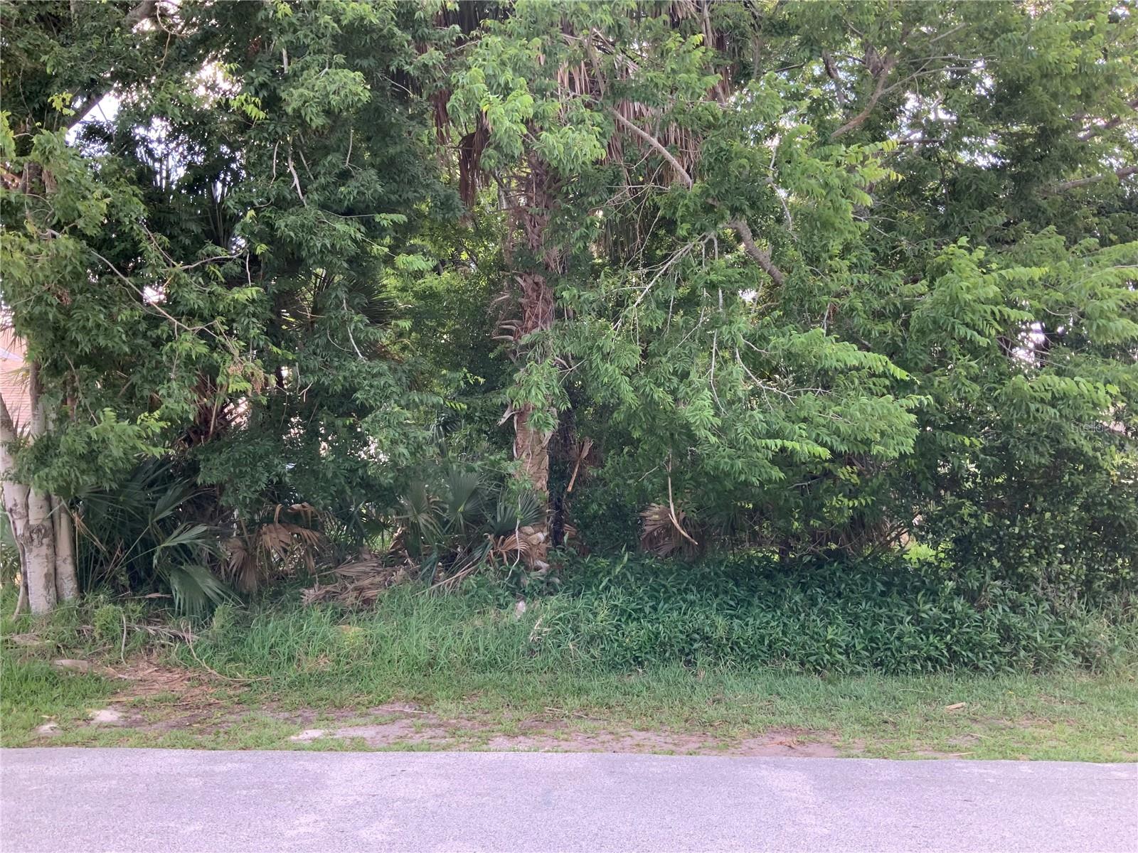 PALM COAST SEC 15 - Land
