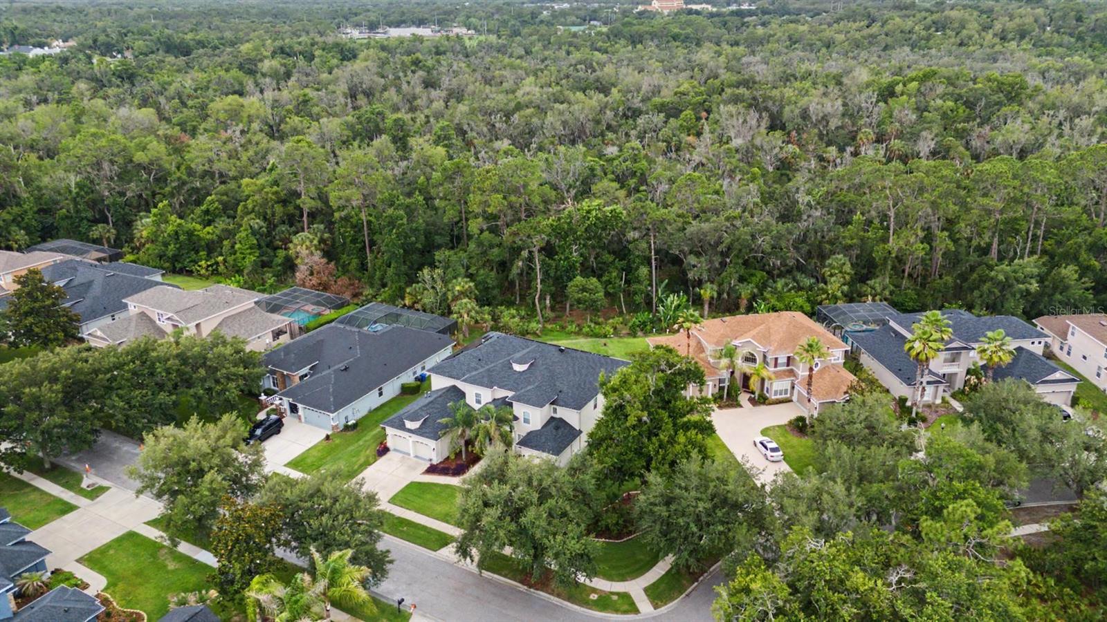 RIVERWOODS HAMMOCK - Residential