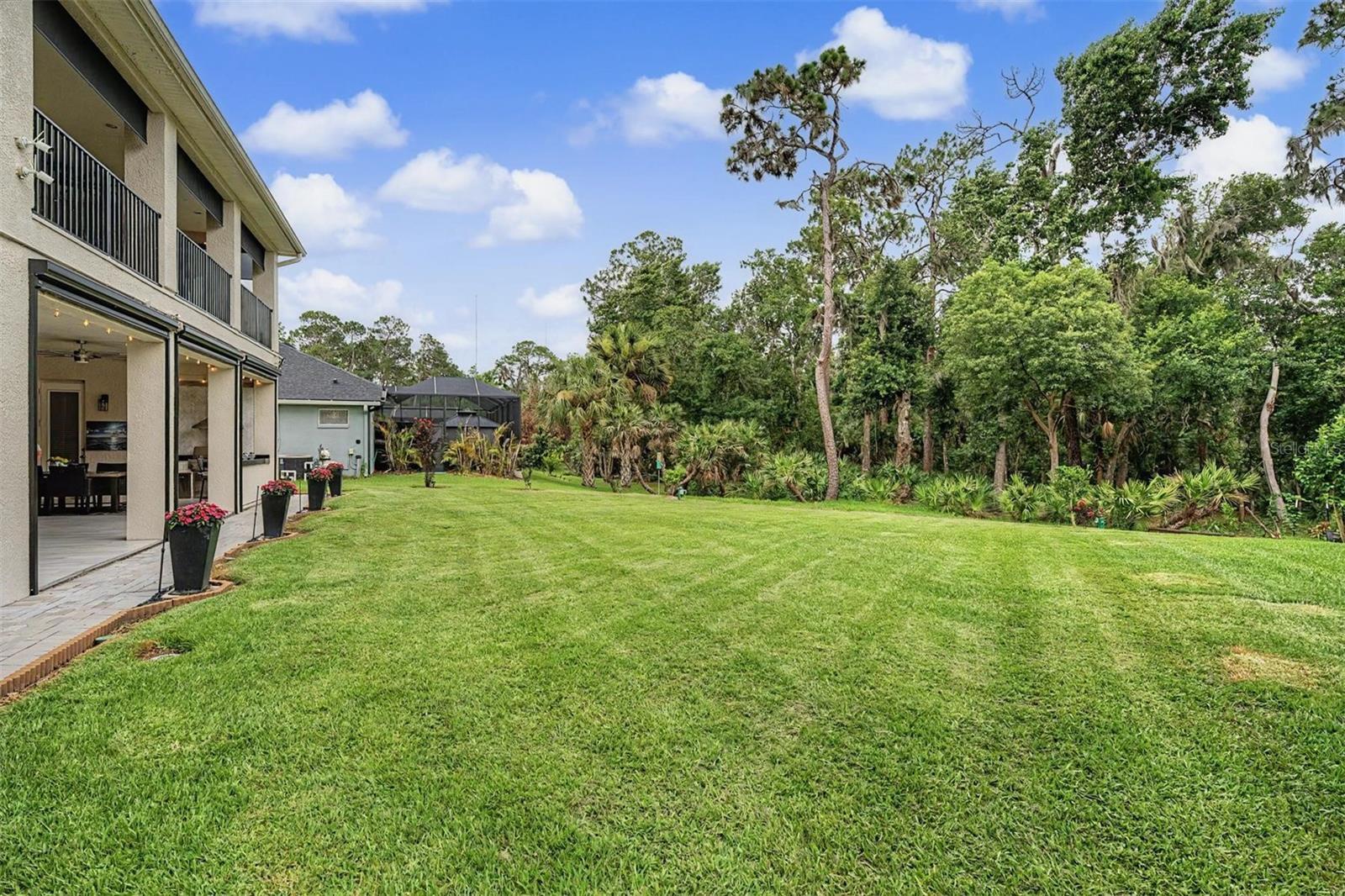RIVERWOODS HAMMOCK - Residential