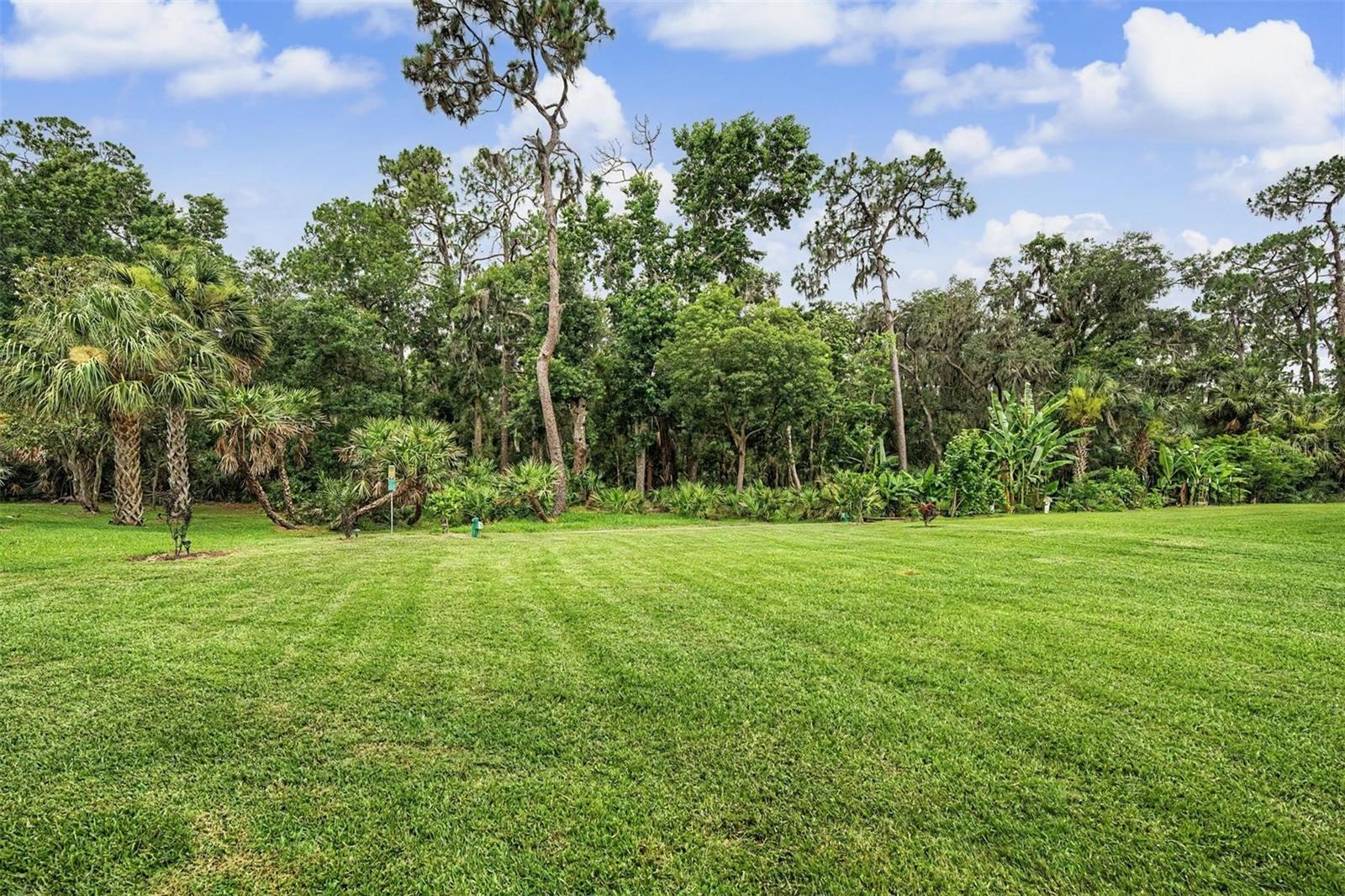 RIVERWOODS HAMMOCK - Residential