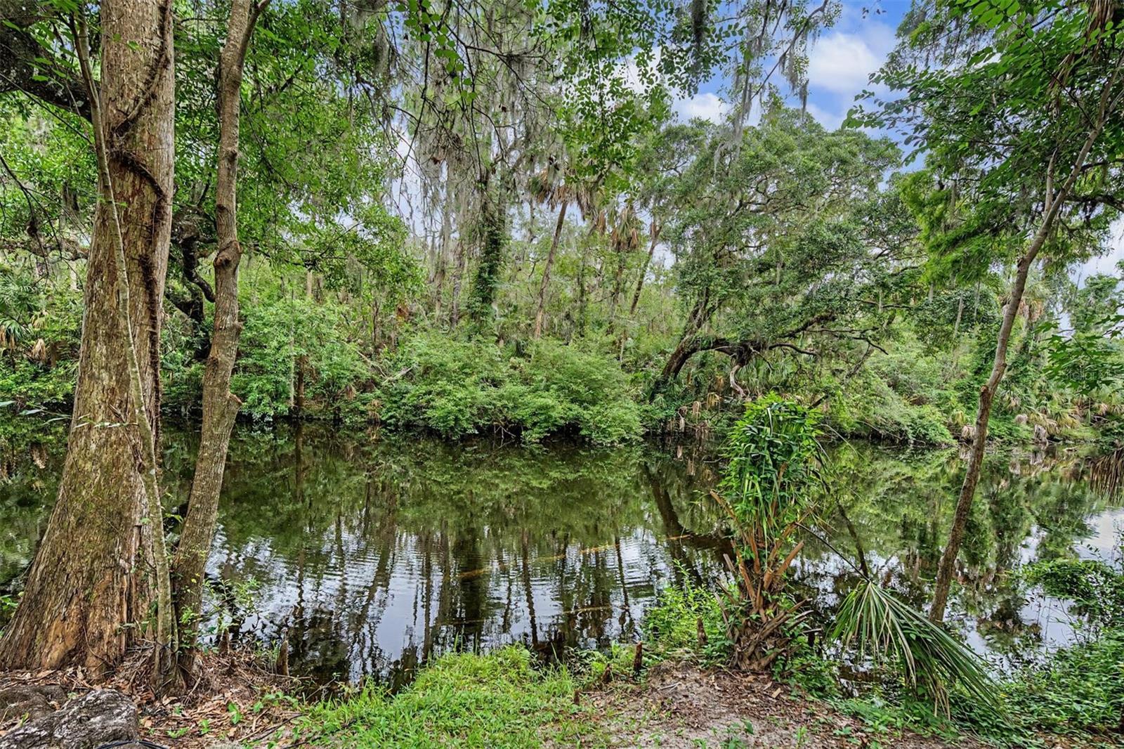 RIVERWOODS HAMMOCK - Residential