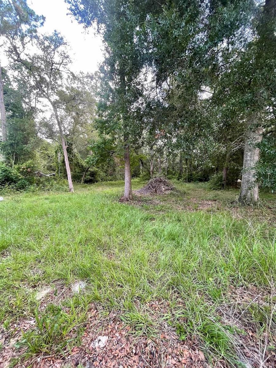 FANNIN SPRINGS ANNEX - Residential