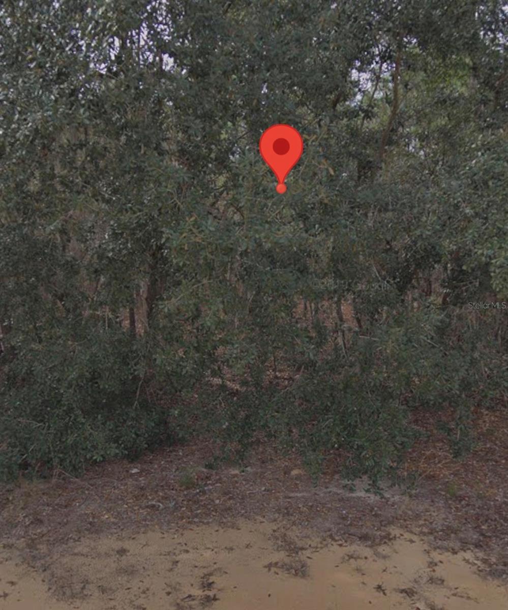 INTERLACHEN LAKES ESTATES - Land