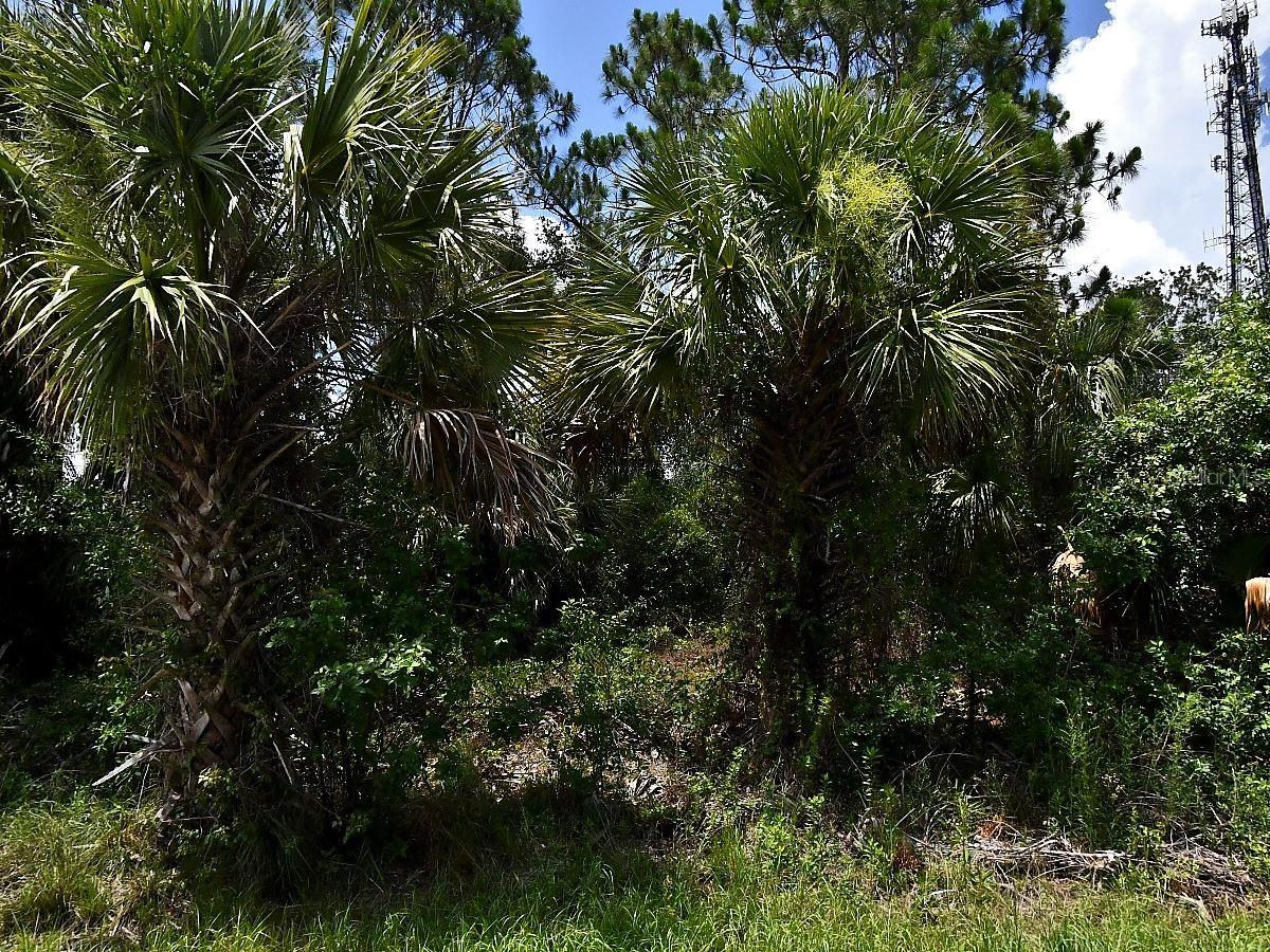 Discover the perfect opportunity to build your dream home on this vacant lot in the growing city of North Port, Florida. Nestled in a quiet residential area, this property offers the ideal balance of privacy, natural beauty, and everyday convenience.
North Port is one of Southwest Florida’s fastest-growing communities, known for its abundance of parks, nature preserves, golf courses, and outdoor recreation. Residents enjoy easy access to attractions such as the Myakka River, Warm Mineral Springs, and the Gulf Coast’s beautiful beaches. The area also offers a variety of shopping, dining, healthcare facilities, and highly rated schools, making it an excellent place to live, invest, or build.
Conveniently located near major roadways, North Port provides easy access to Sarasota, Fort Myers, and Tampa, offering endless opportunities for work, entertainment, and travel.
This property comes with several outstanding advantages: no HOA fees, no CDD fees, no Scrub Jay restrictions (per the Sarasota County Property Appraiser website as of 06/04/2026; buyers should verify during their due diligence), and an environmental study has already been completed and is available upon request. Whether you are a builder, investor, or future homeowner, this is an exceptional opportunity to secure land in a rapidly expanding market.
Seller has multiple lots available for sale.