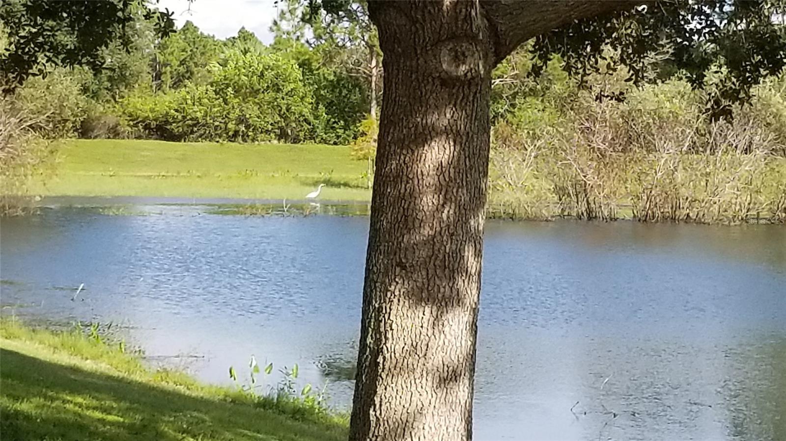 PORT CHARLOTTE SUB 44 - Land