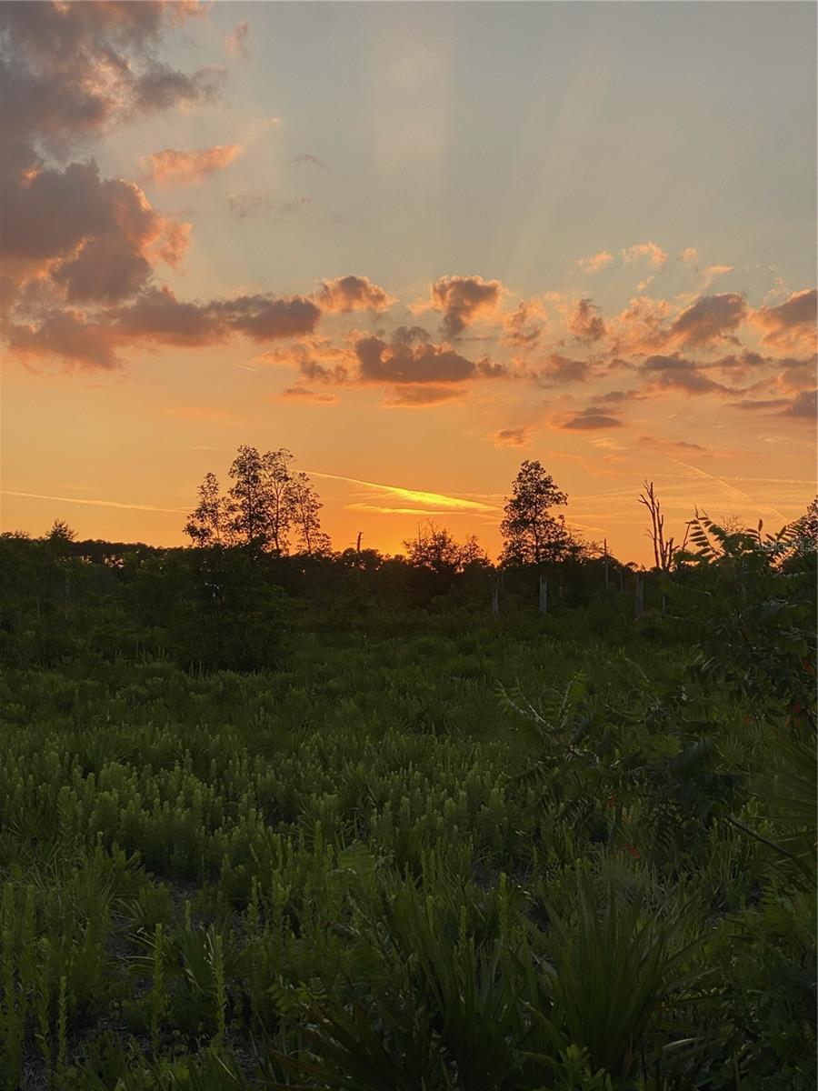 This remarkable 255-acre property is a canvas waiting for your vision. With its diverse landscape, including open fields, forested areas, and a charming pond, it offers a multitude of opportunities for various uses. Whether you envision a private estate, a sustainable farm, or a new residential community, this property provides the space and versatility to make your dreams a reality.

Enjoy the tranquility of country living while being just a short drive away from Mt Dora and Orlando. This property provides a peaceful retreat from the hustle and bustle of everyday life.

SELLER WILL CONSIDER OWNER FINANCING.