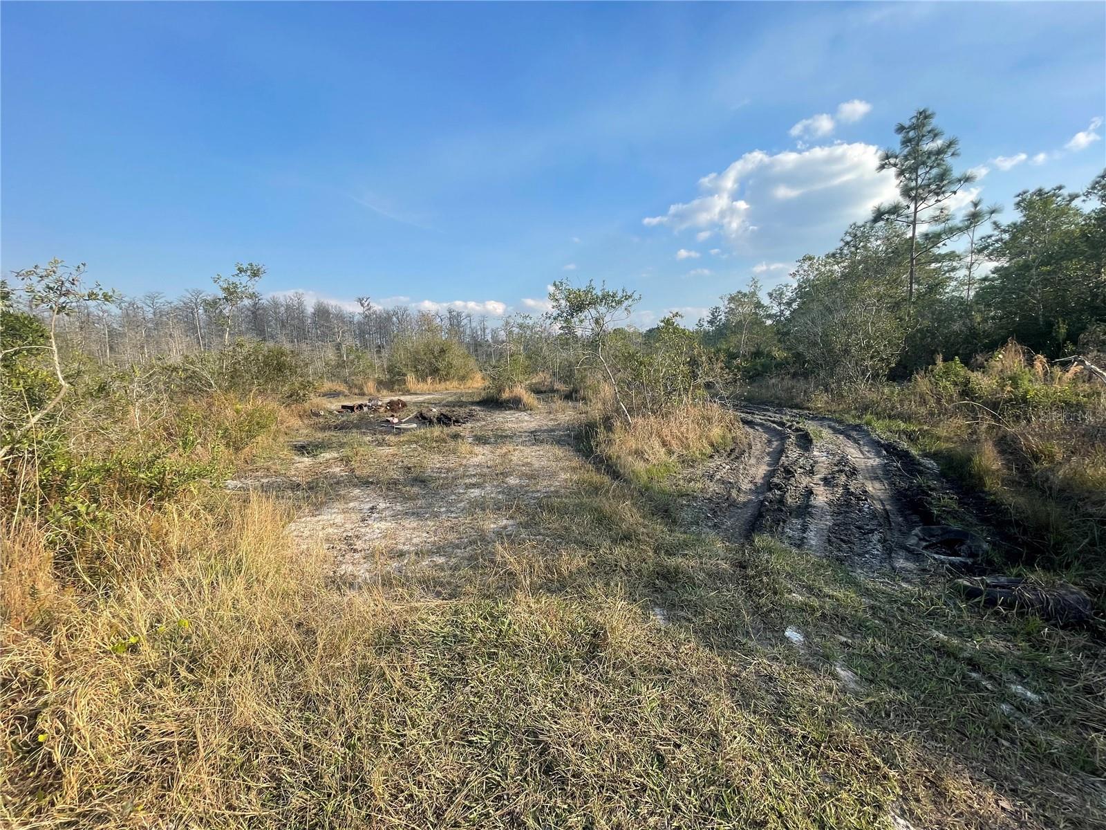 CANAVERAL ACRES 3 - Land