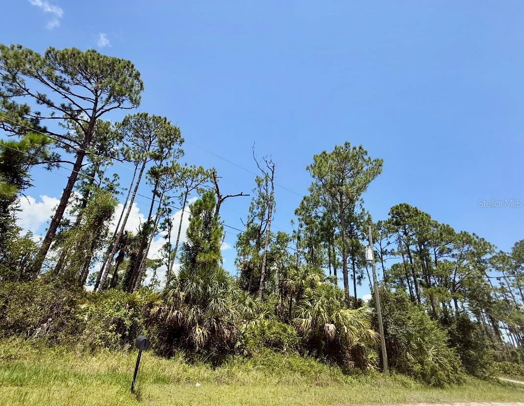 Imagine building your dream home in the vibrant and growing community of North Port, FL.
This spacious lot provides ample room for a pool—perfect for creating your own private outdoor oasis for relaxation and entertaining. Enjoy being just minutes from the North Port Aquatic Center, as well as a variety of shopping, dining, and scenic parks. Plus, you’re only a short drive from the stunning Gulf beaches.
Don’t miss this opportunity to own a piece of Florida paradise!