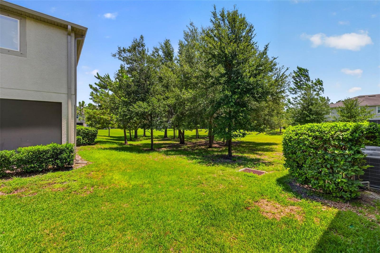 LAKEVIEW/CITRUS PARK - Residential