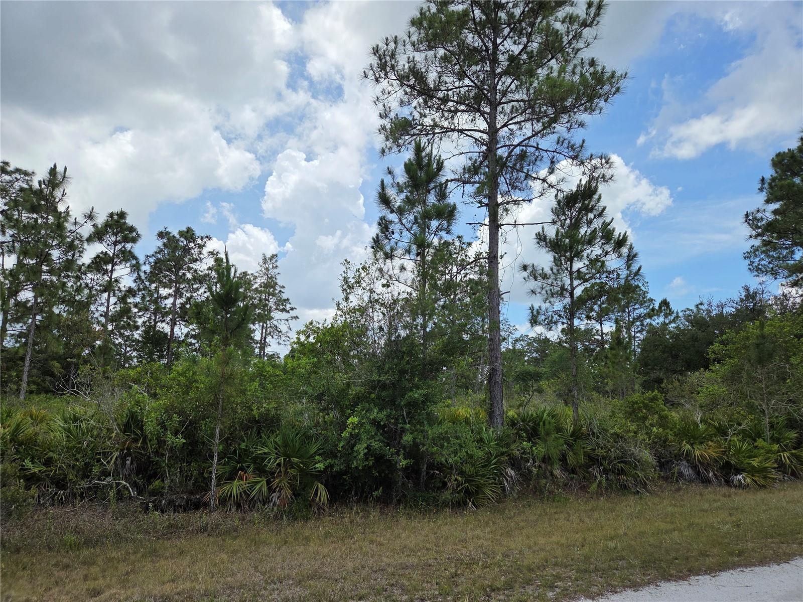 INDIAN LAKE ESTATES UNIT 09 REV - Land