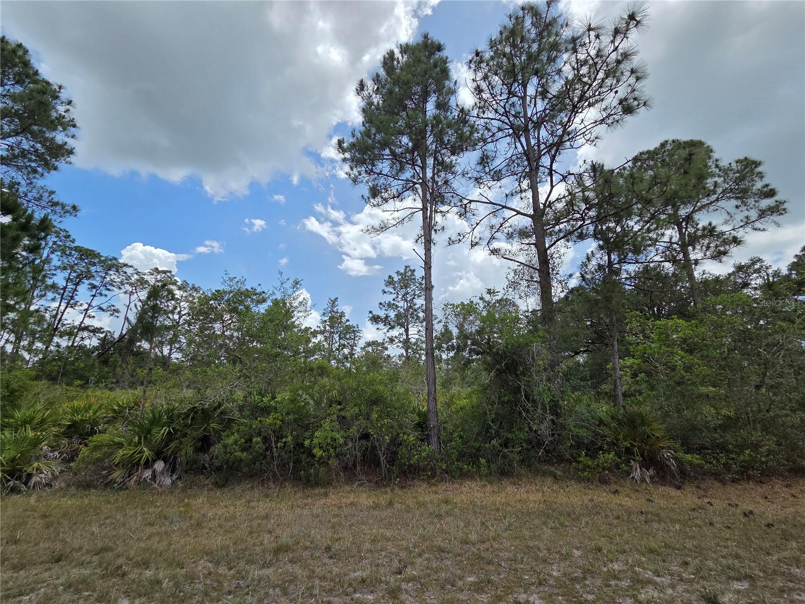 Why buy one lot when you can have TWO? Check out these side-by-side lots for a total of one ACRE nestled in Indian Lake Estates! A gated community featuring 2 golf courses, tennis, pickleball, and basketball courts, a 23,000 SF clubhouse, 1200 ft fishing pier, marina with floating docks, and 20 boat slips, a lake pavilion with restrooms and kitchen, a restaurant, churches, and more. Build your custom dream home with maximum privacy. Low annual HOA fee! The second parcel address is 913 Laguna Dr, Indian Lake Estates, FL 33855. Don't miss this great opportunity. Call us Today!