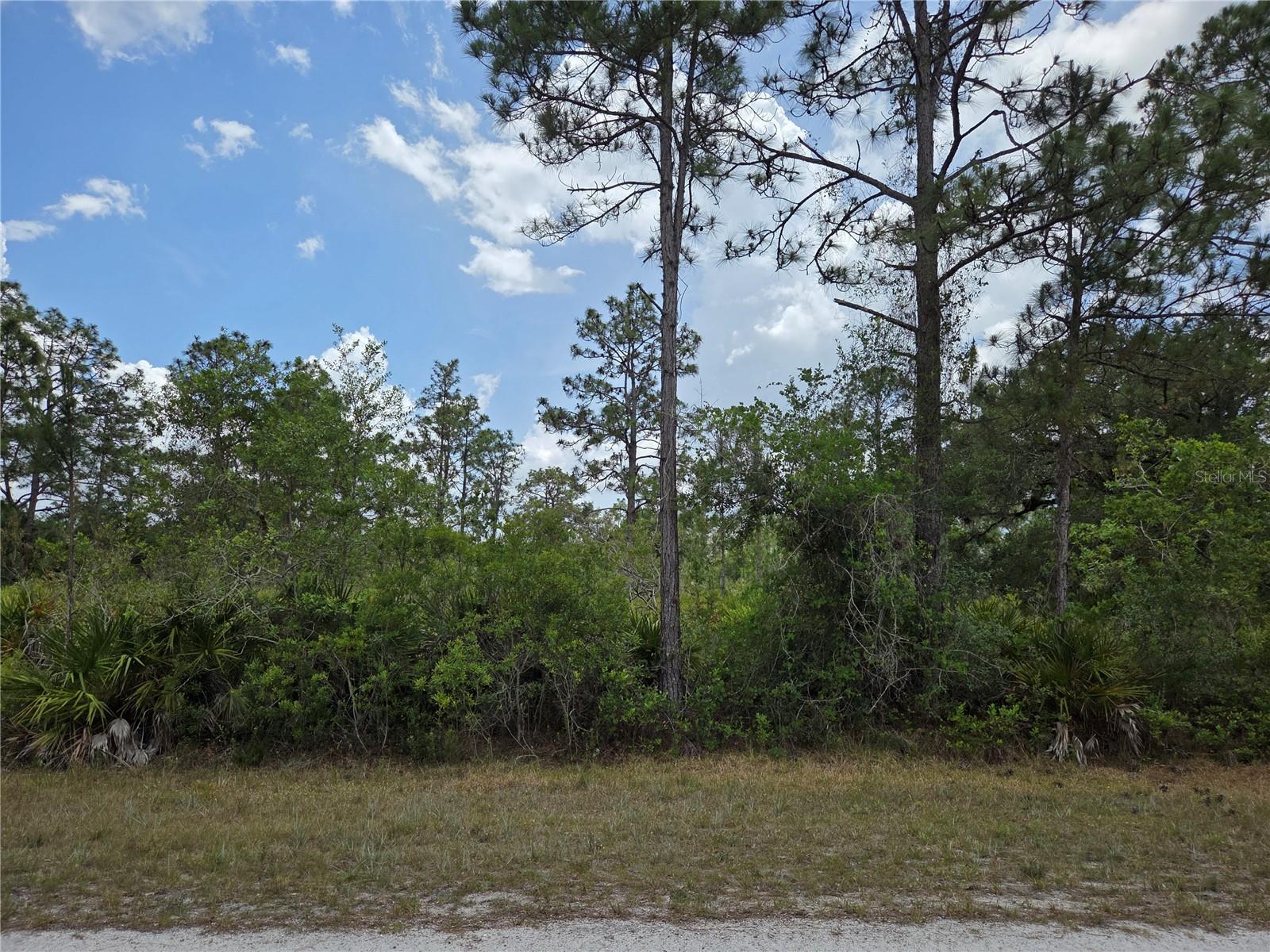 INDIAN LAKE ESTATES UNIT 09 REV - Land