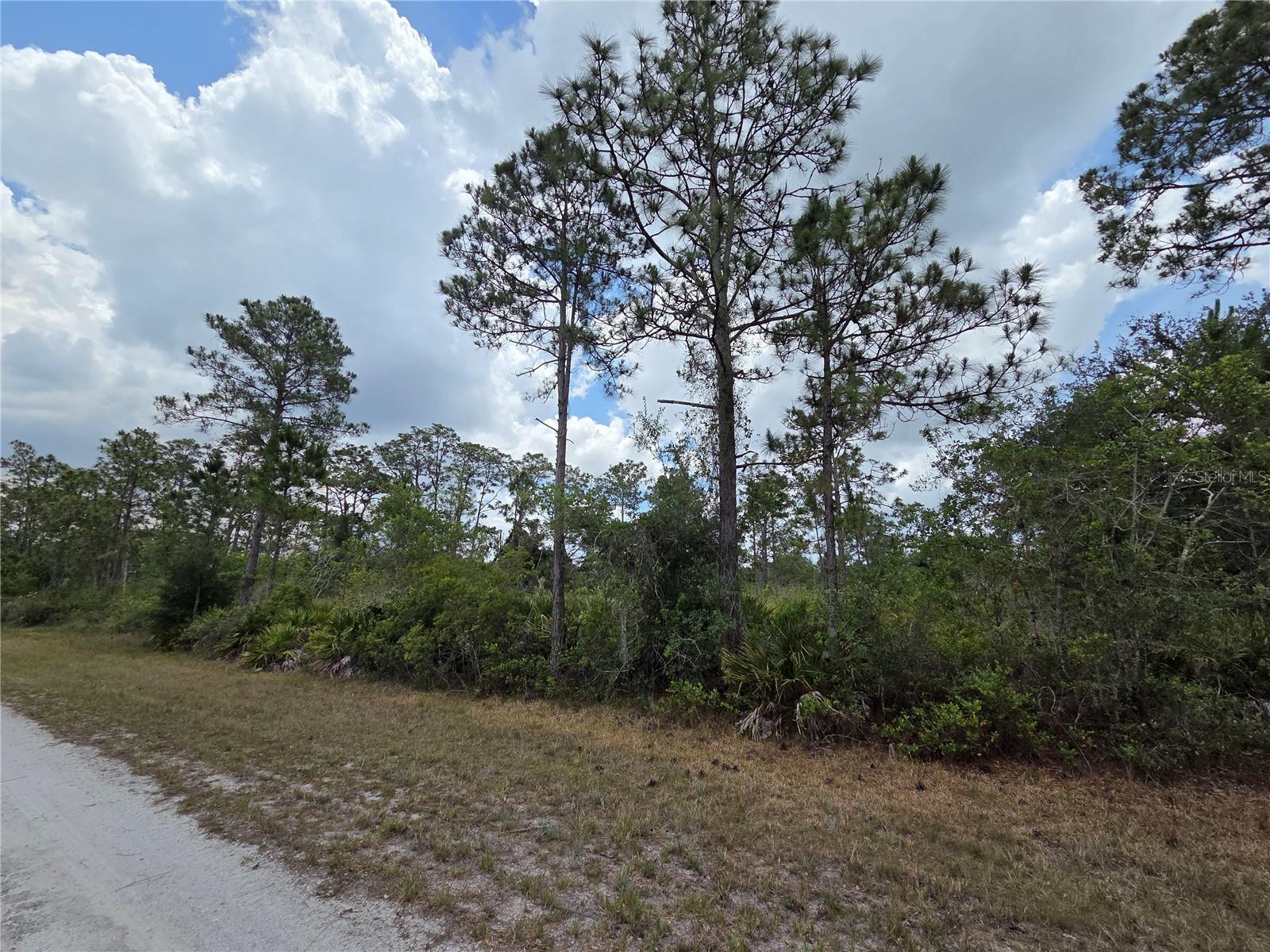 INDIAN LAKE ESTATES UNIT 09 REV - Land