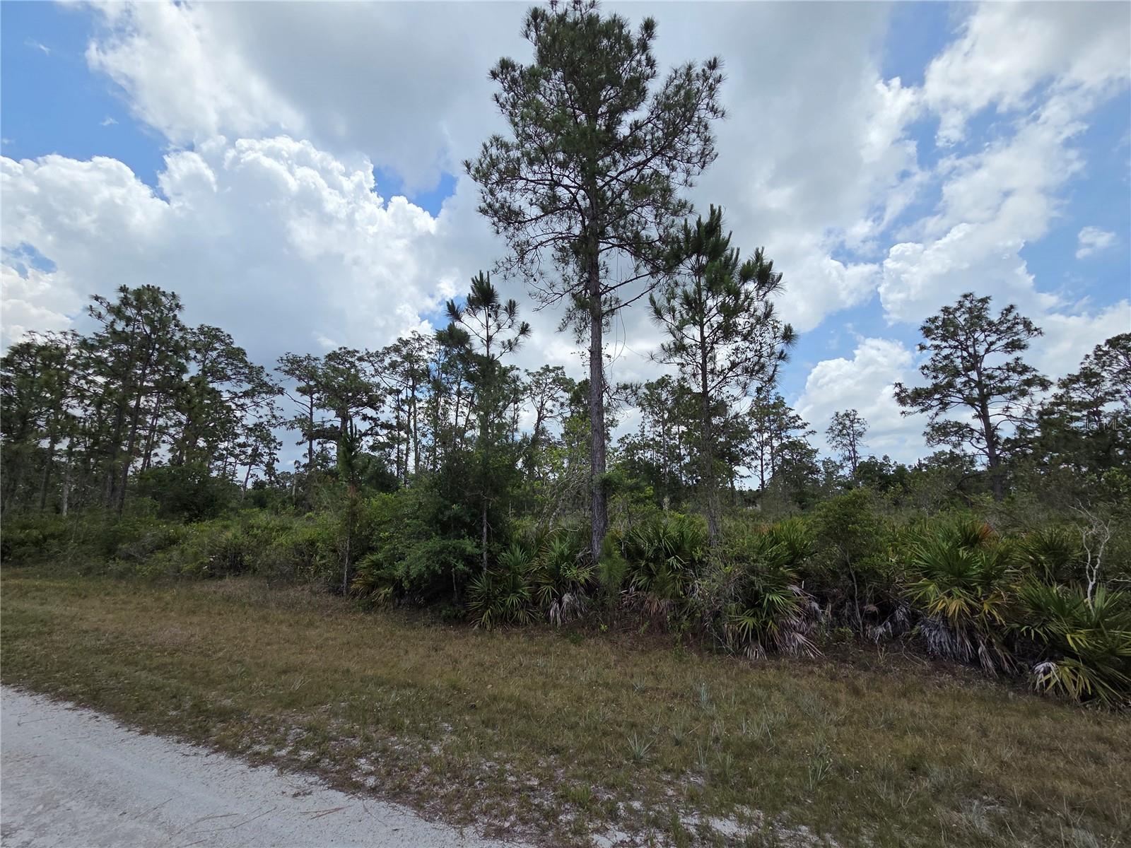INDIAN LAKE ESTATES UNIT 09 REV - Land