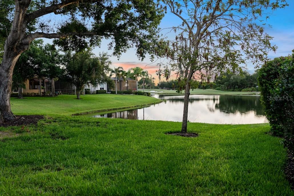 LAKEWOOD RANCH COUNTRY CLUB VILLAGE EE 3D - Residential
