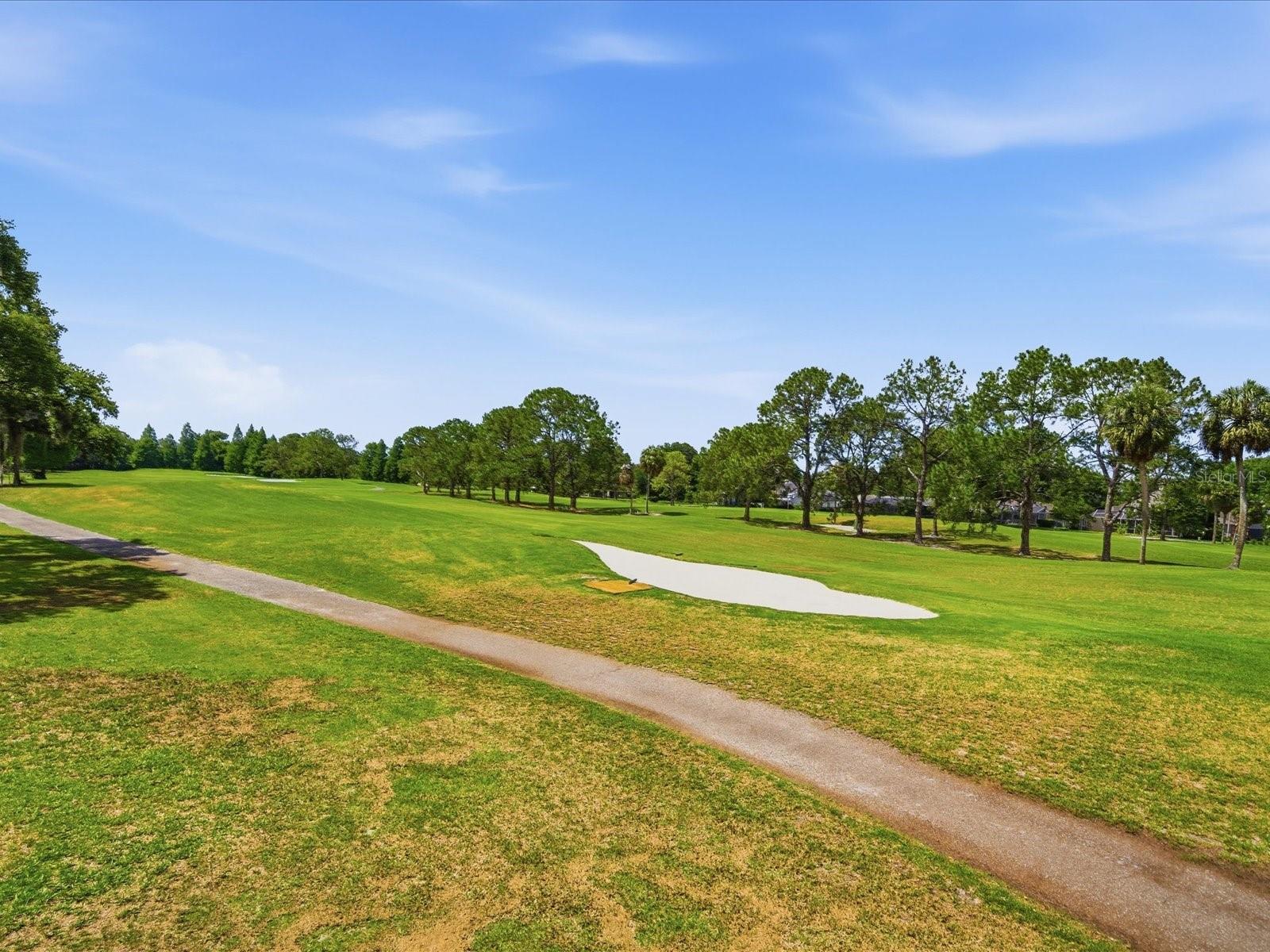 CARROLLWOOD VILLAGE GREENFIELD - Residential