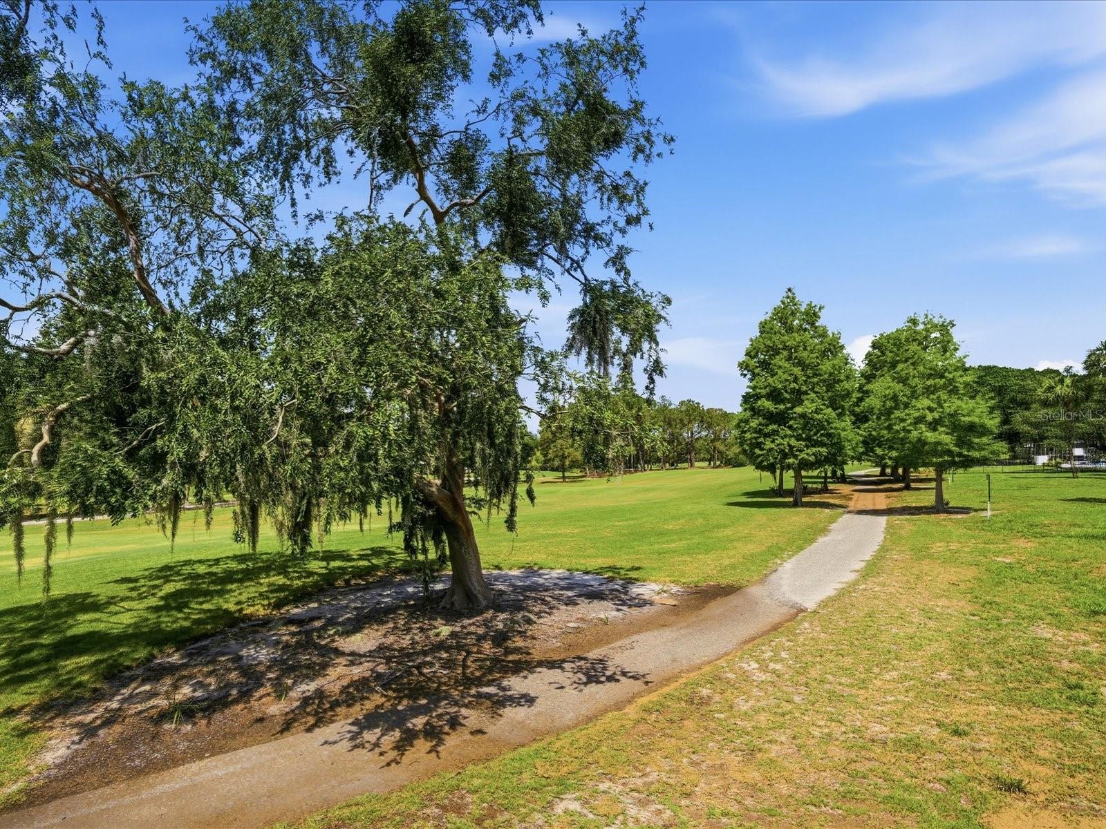 CARROLLWOOD VILLAGE GREENFIELD - Residential