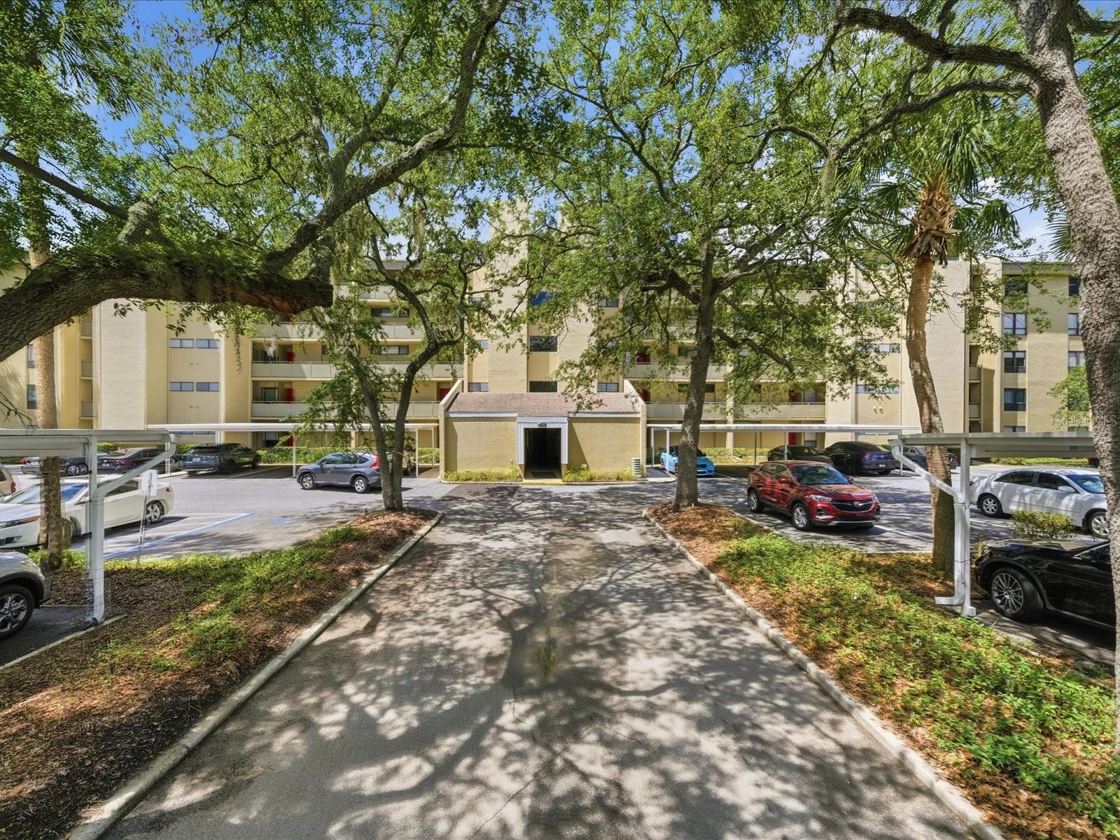 CARROLLWOOD VILLAGE GREENFIELD - Residential