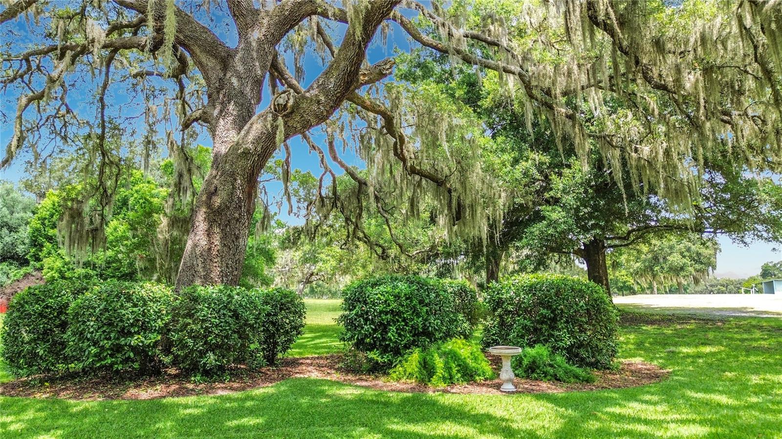 INVERNESS GOLF & COUNTRY CLUB ESTATES - Residential