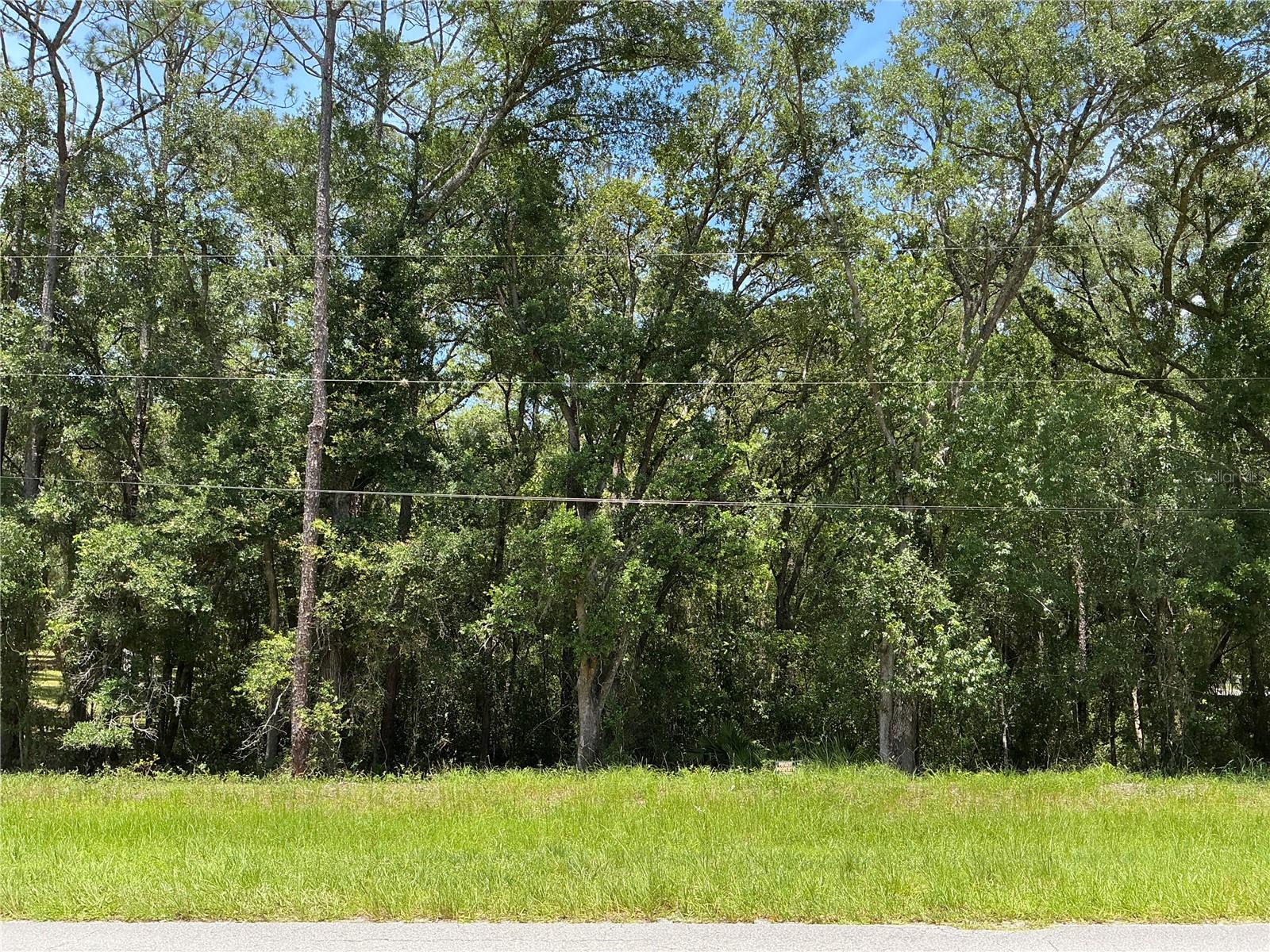 Build your dream home on this beautiful corner 1-acre homesite in the highly desirable Rainbow Springs community! Surrounded by mature trees and upscale homes, this spacious property offers the perfect blend of privacy and convenience in one of Central Florida's most sought-after neighborhoods. Located on a paved road with electricity, public water, and other available utilities, this lot is well-positioned for your future custom home. The property has no protected species or environmental restrictions, providing added peace of mind for buyers and builders. Residents enjoy easy access to the crystal-clear Rainbow River, parks, walking trails, golf courses, shopping, dining, and nearby Rainbow Springs State Park. Whether you're looking to build now or invest for the future, this premium 1-acre lot offers an exceptional opportunity to own land in one of Florida's most desirable natural communities.