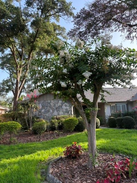 THERESA ARBOR - Residential