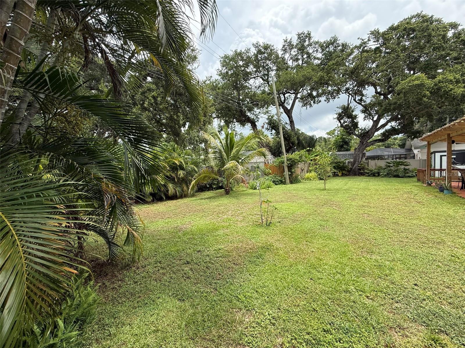 JUNGLE SHORES 5 - Residential