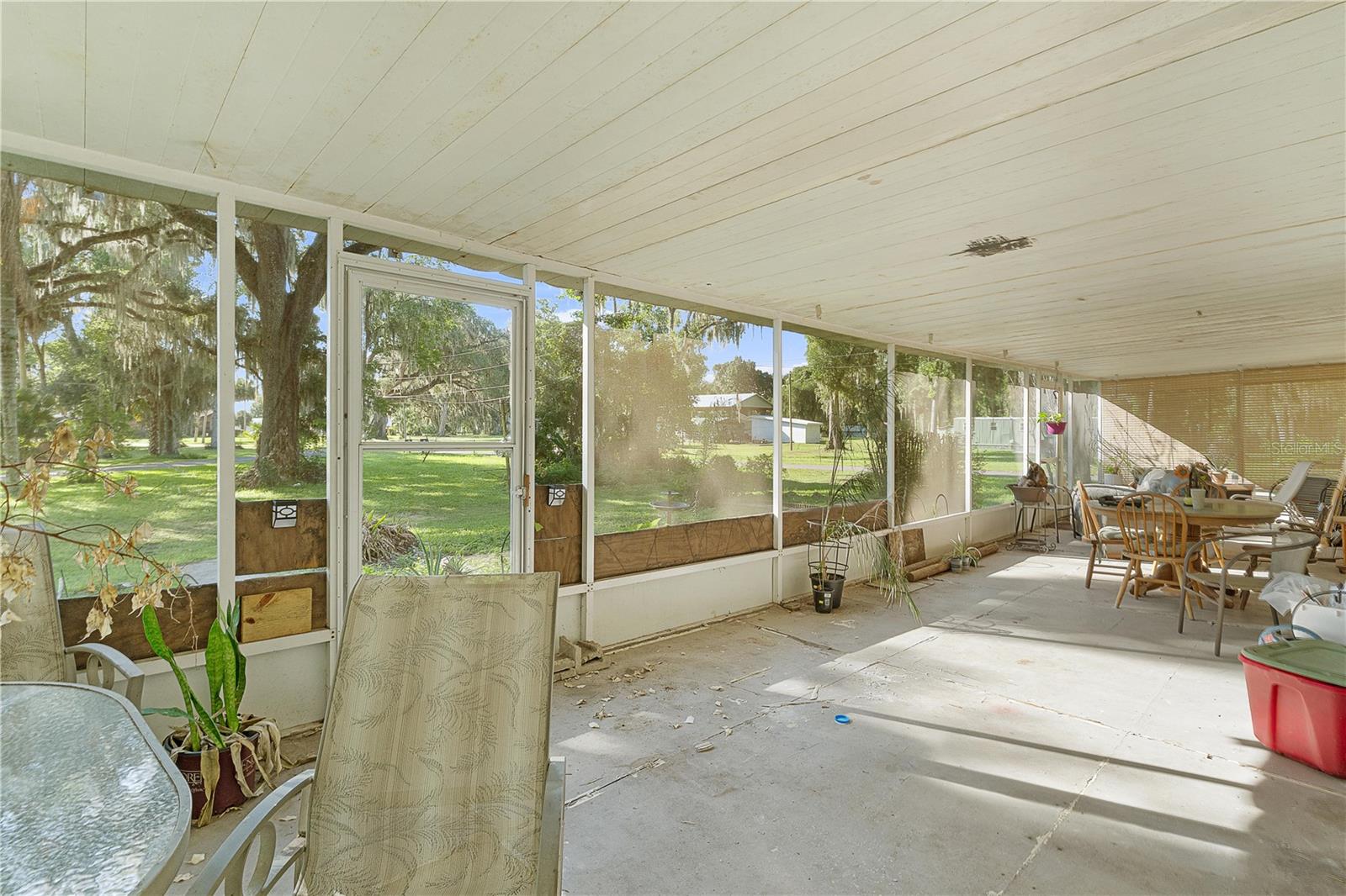 OLIVE PALM - Residential
