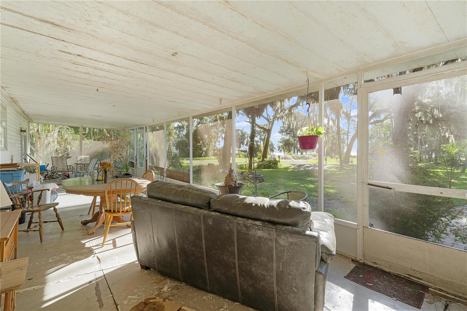 OLIVE PALM - Residential