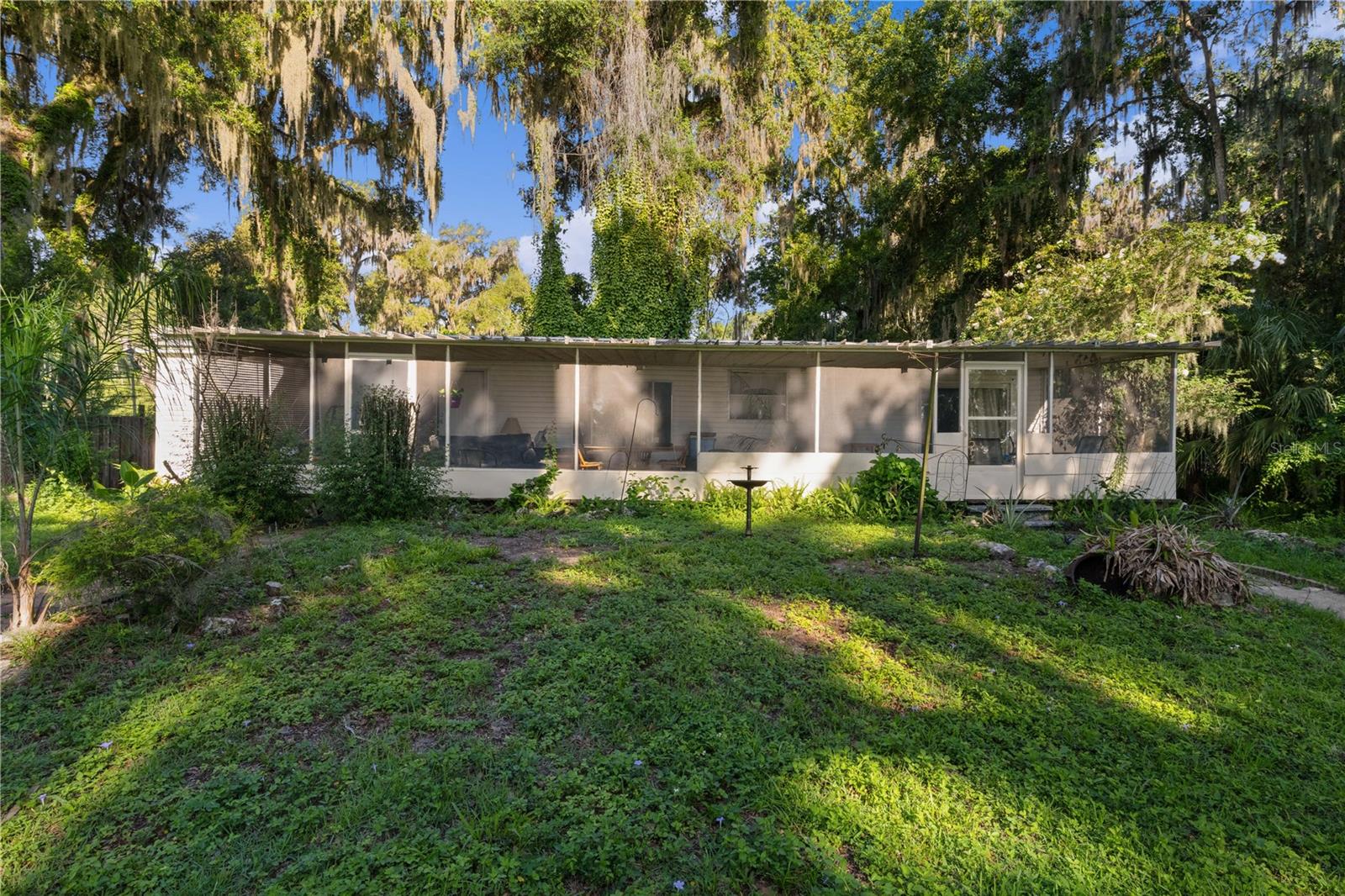 OLIVE PALM - Residential