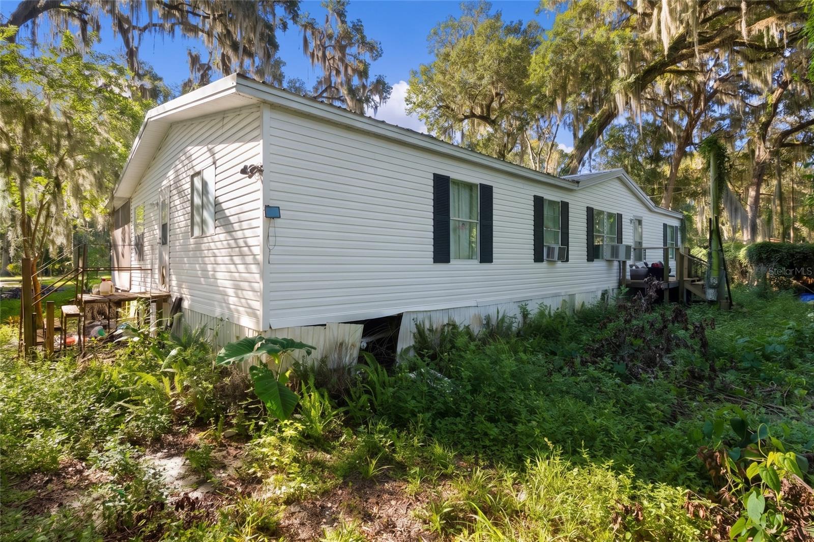 OLIVE PALM - Residential