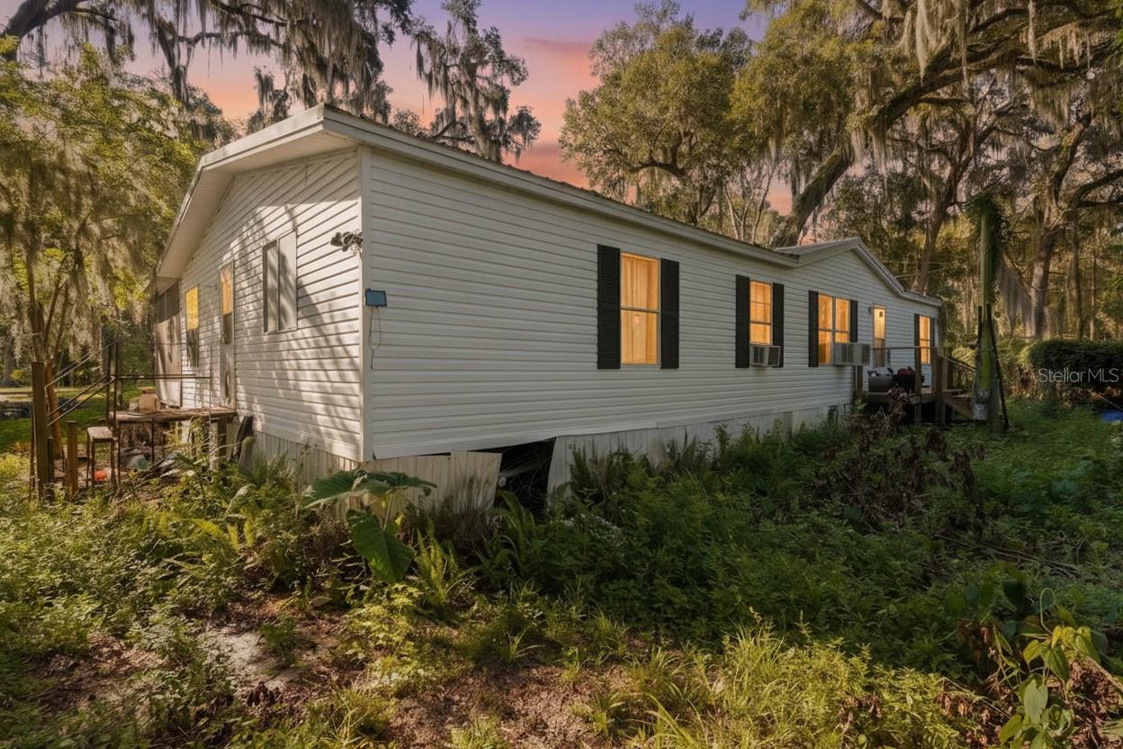 OLIVE PALM - Residential