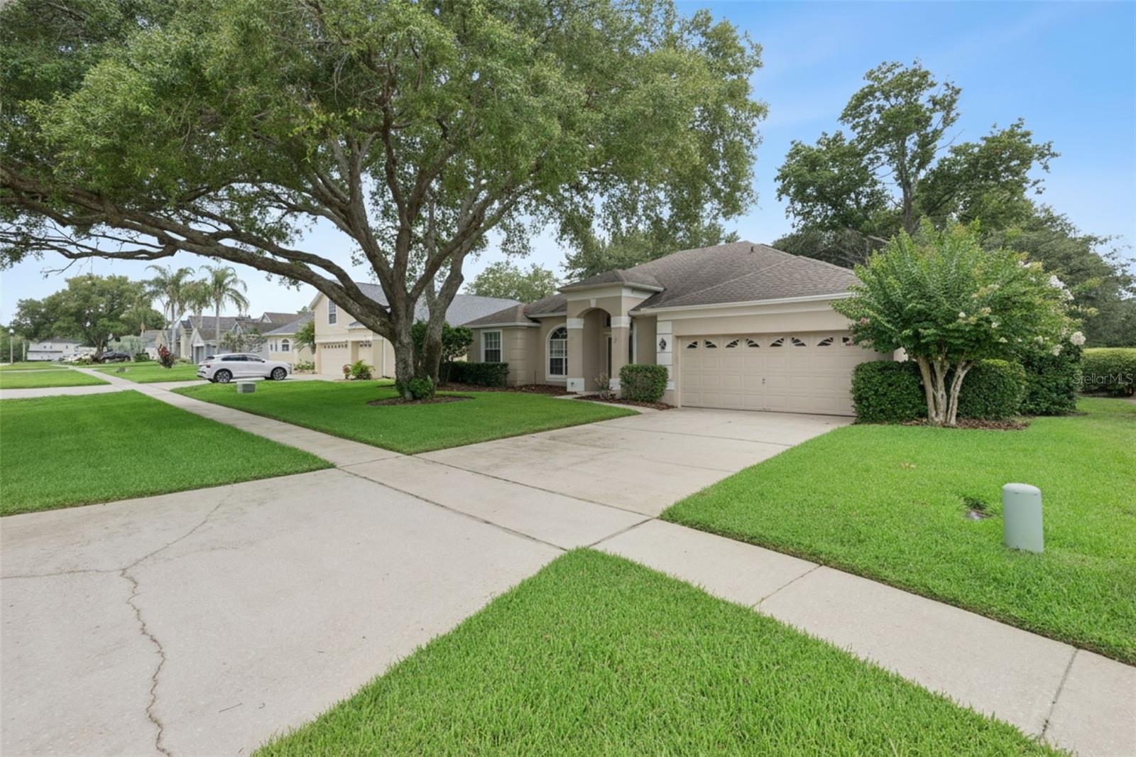 ROCK SPRINGS RIDGE - Residential