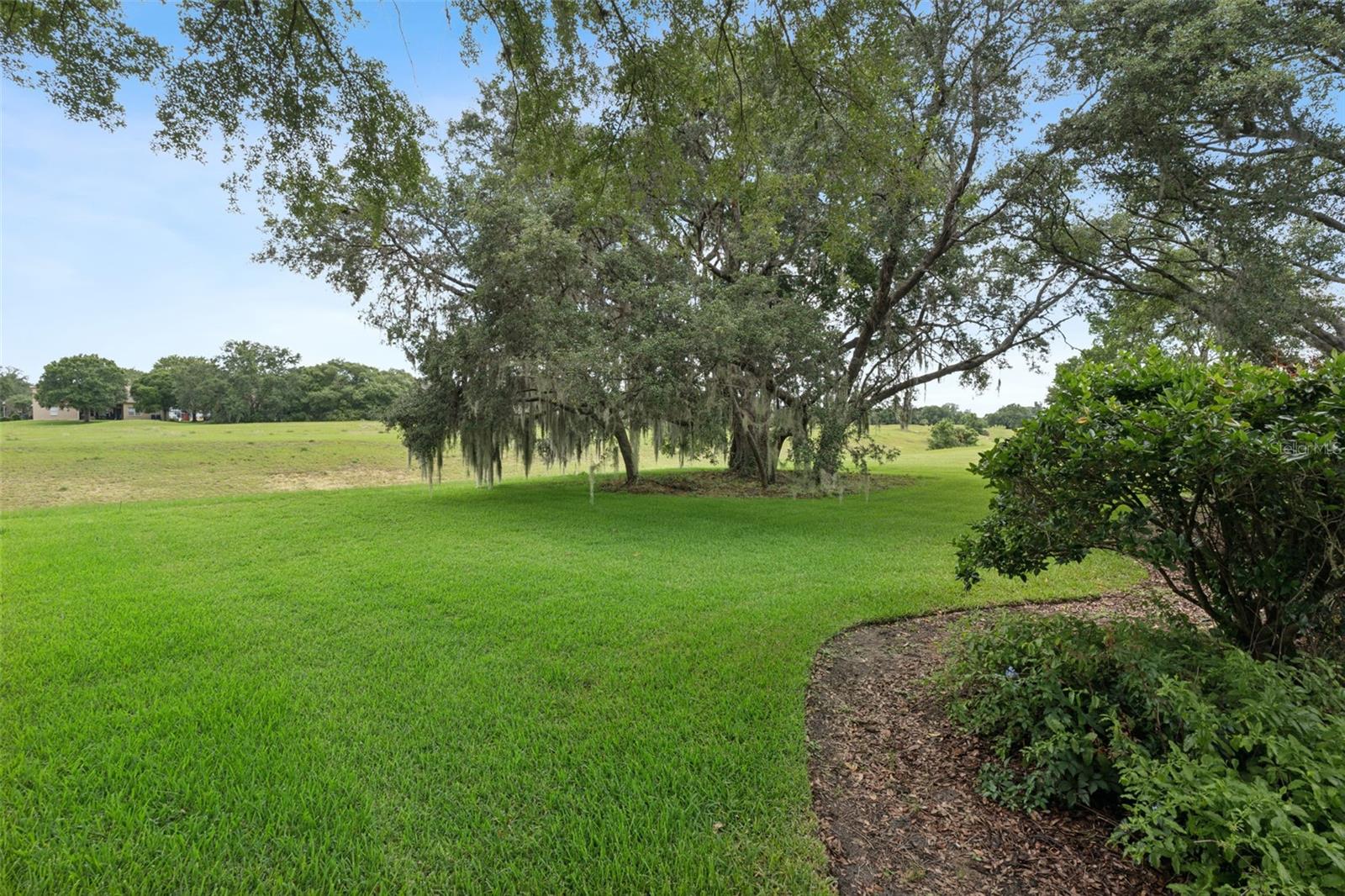 ROCK SPRINGS RIDGE - Residential