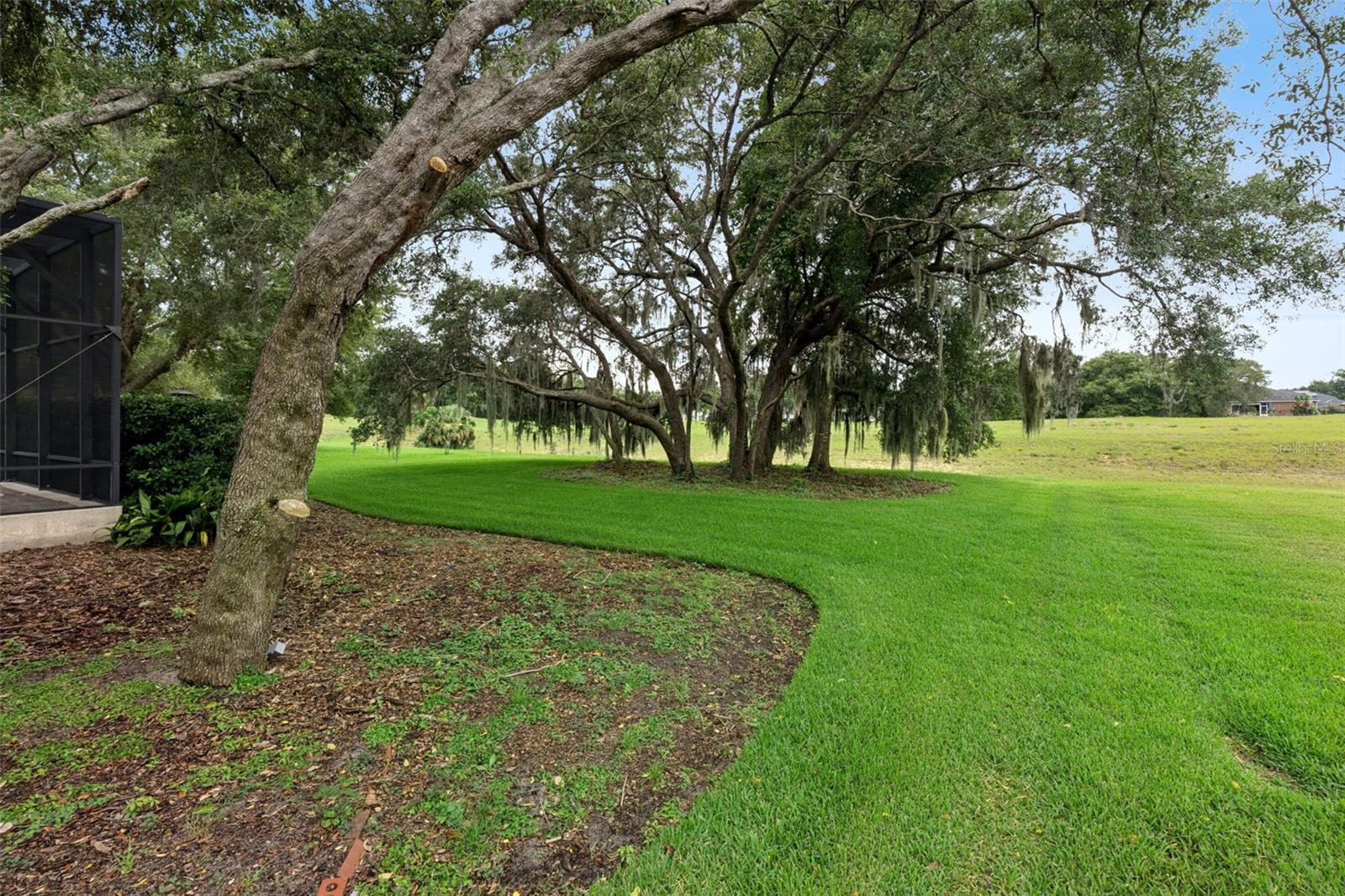 ROCK SPRINGS RIDGE - Residential