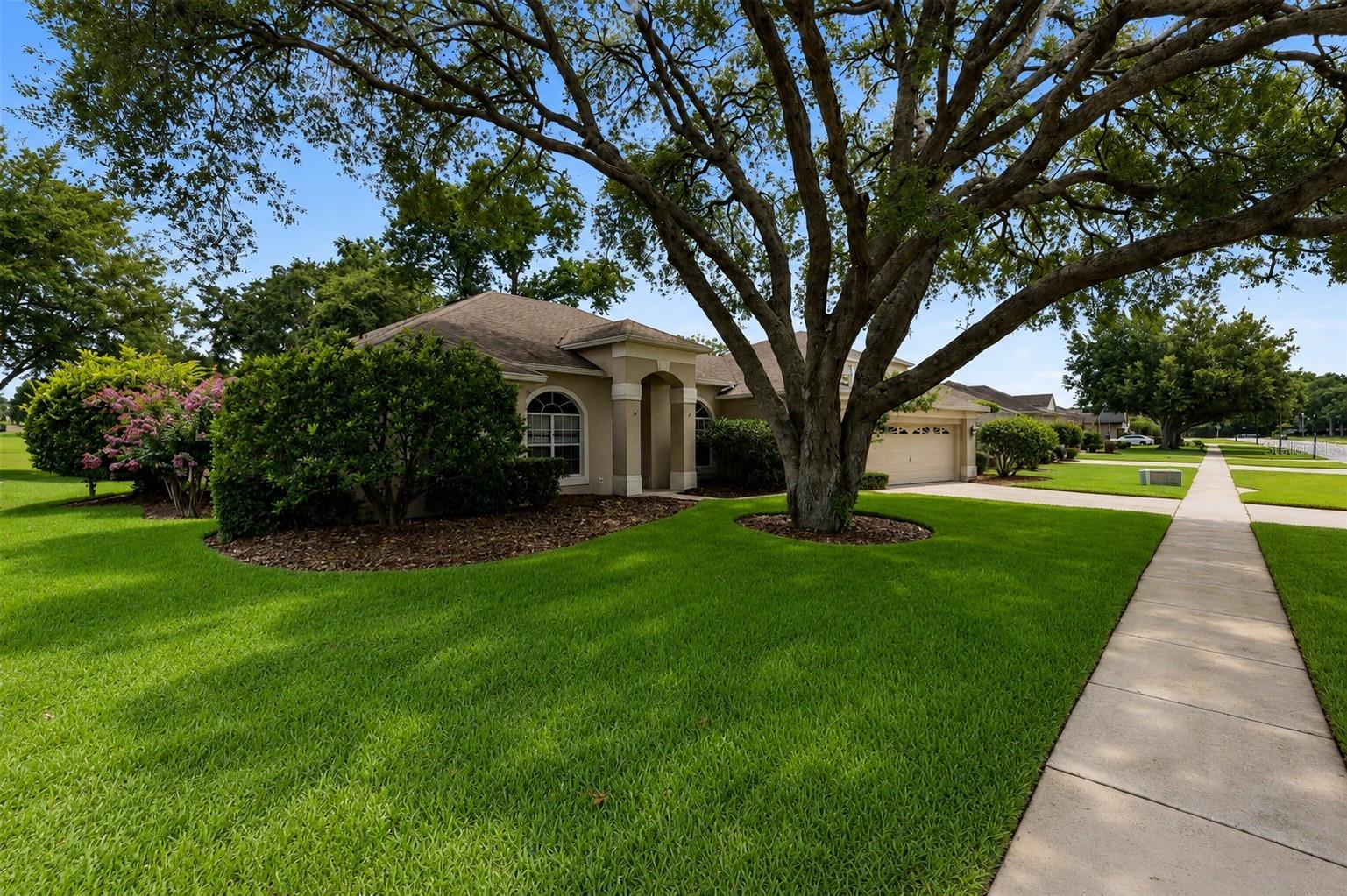 ROCK SPRINGS RIDGE - Residential