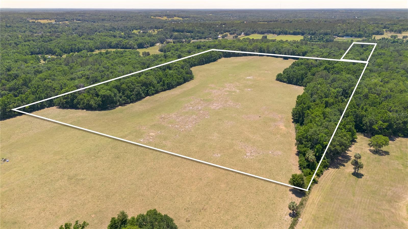 Beautiful 60 rolling acres with lots of character -rolling slopes, wet water streams, both wooded and mature pastures. Great for trail riding, horses, cattle, Etc. Property consists of parcel 06286-002-00 (10 acres) and 50 acres of parcel 06273-000-00. Currently, the property is accessed from NW 65th Ave Rd. Culvert will be installed before closing for access off of NW Hwy 225. Additional acreage available.
