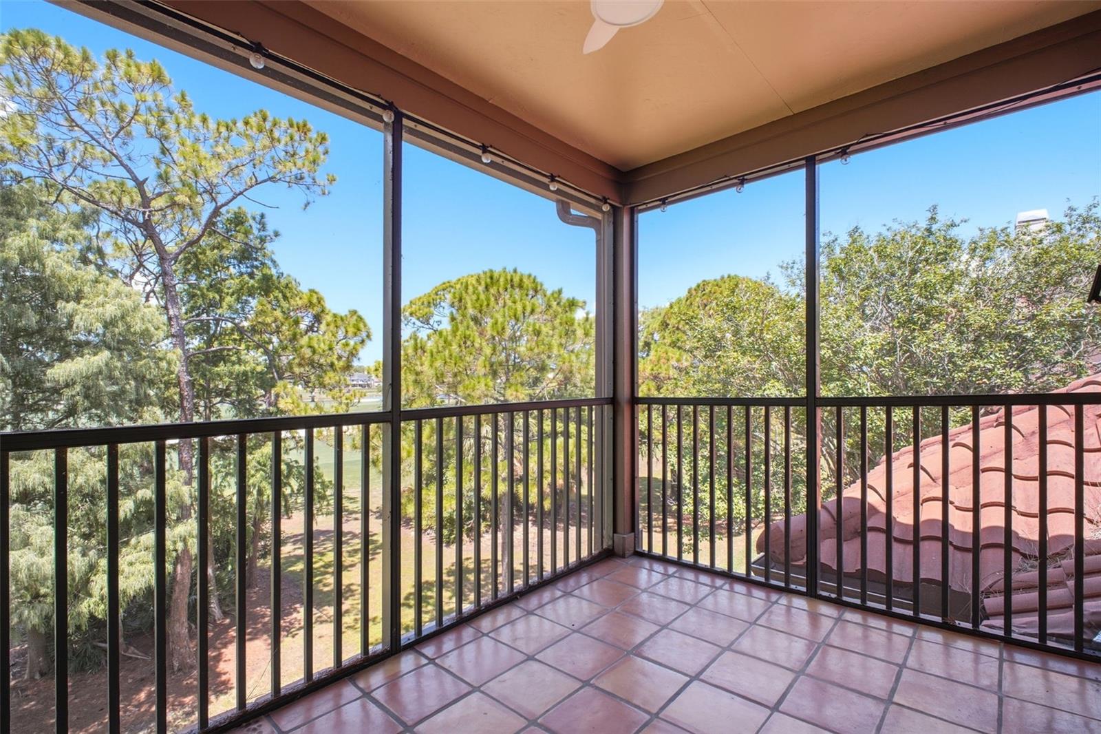 AUDUBON CONDO AT FEATHER SOUND - Residential