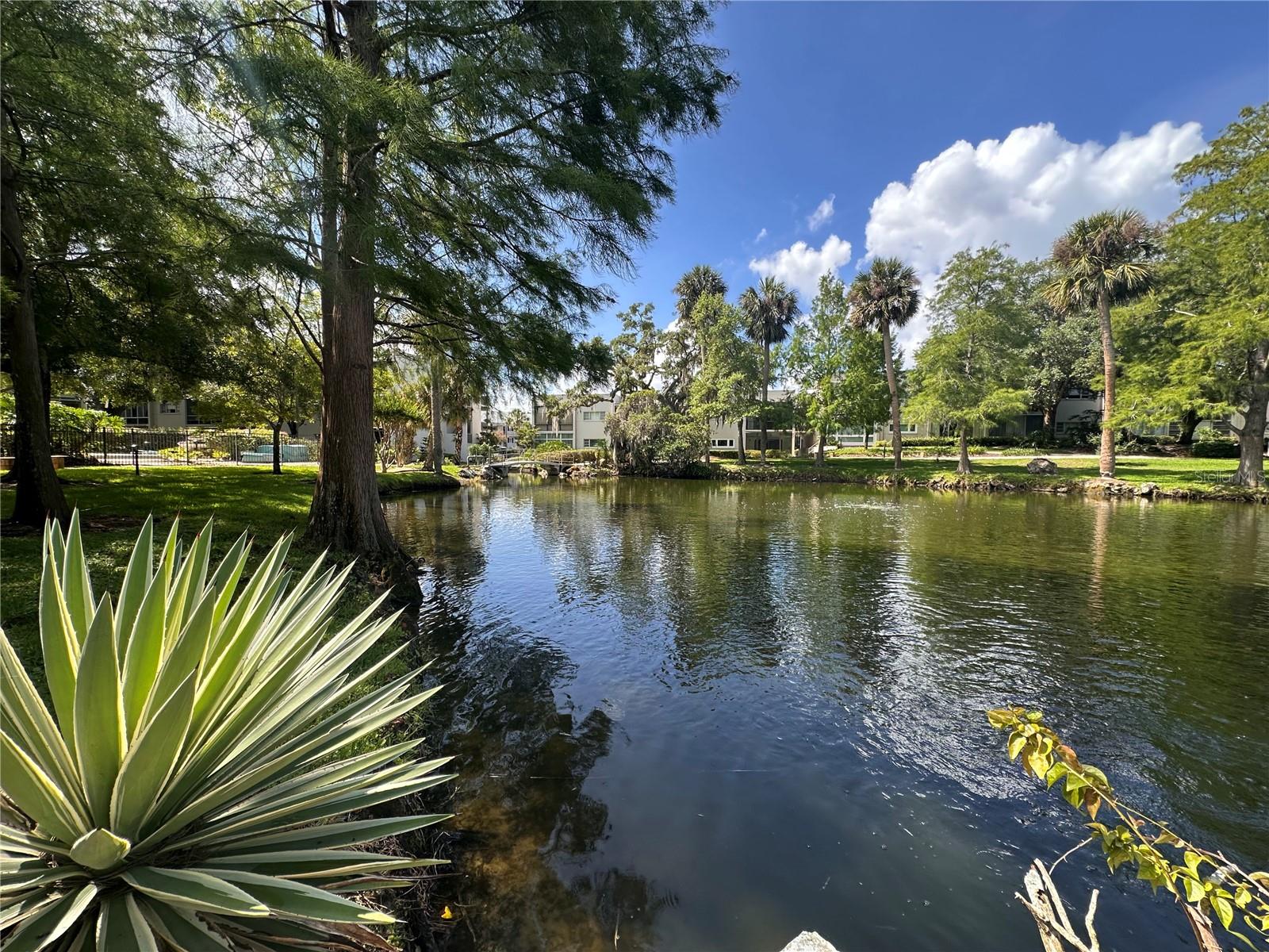 WINTER PARK GARDENS CONDO - Residential
