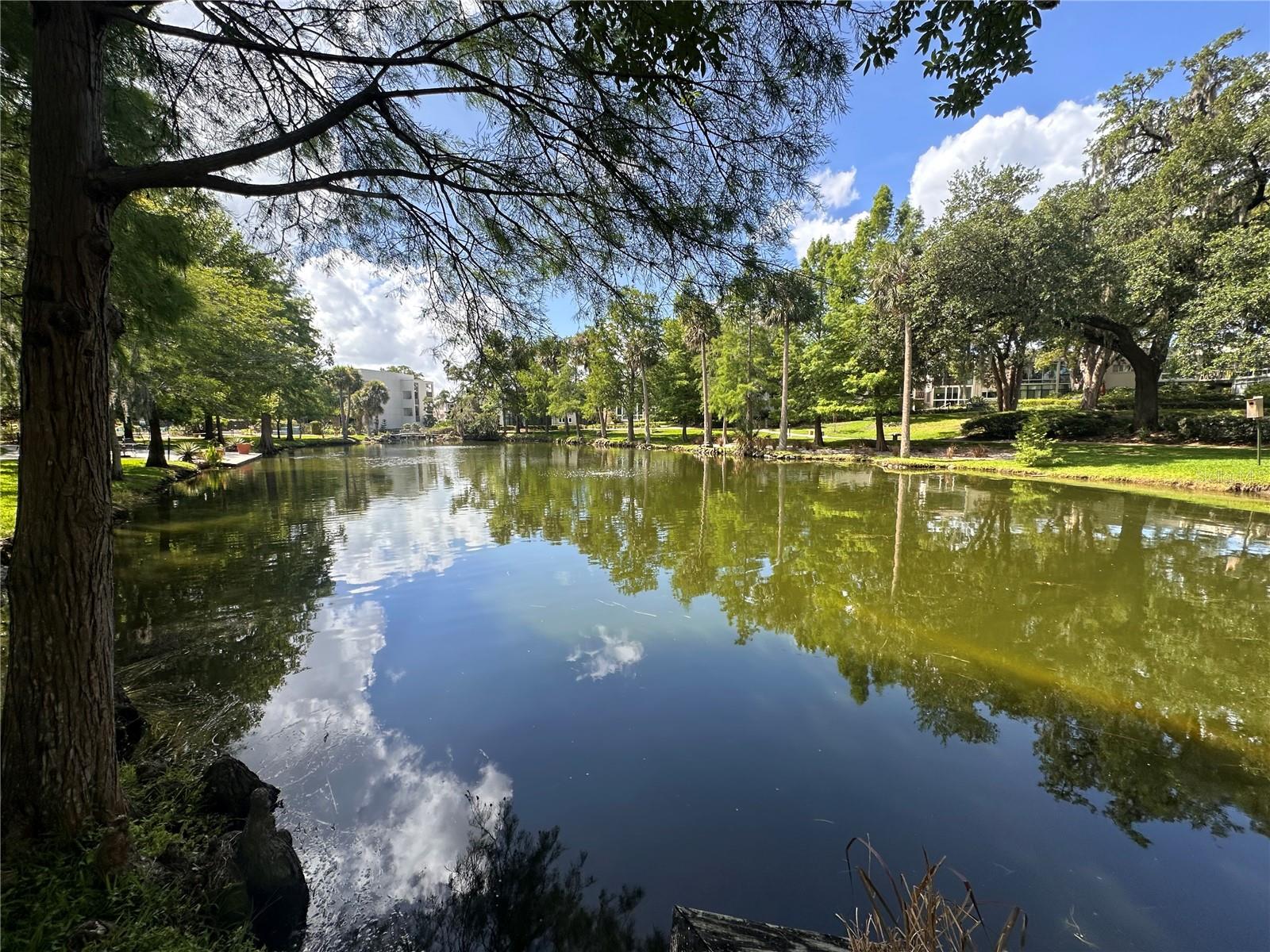 WINTER PARK GARDENS CONDO - Residential