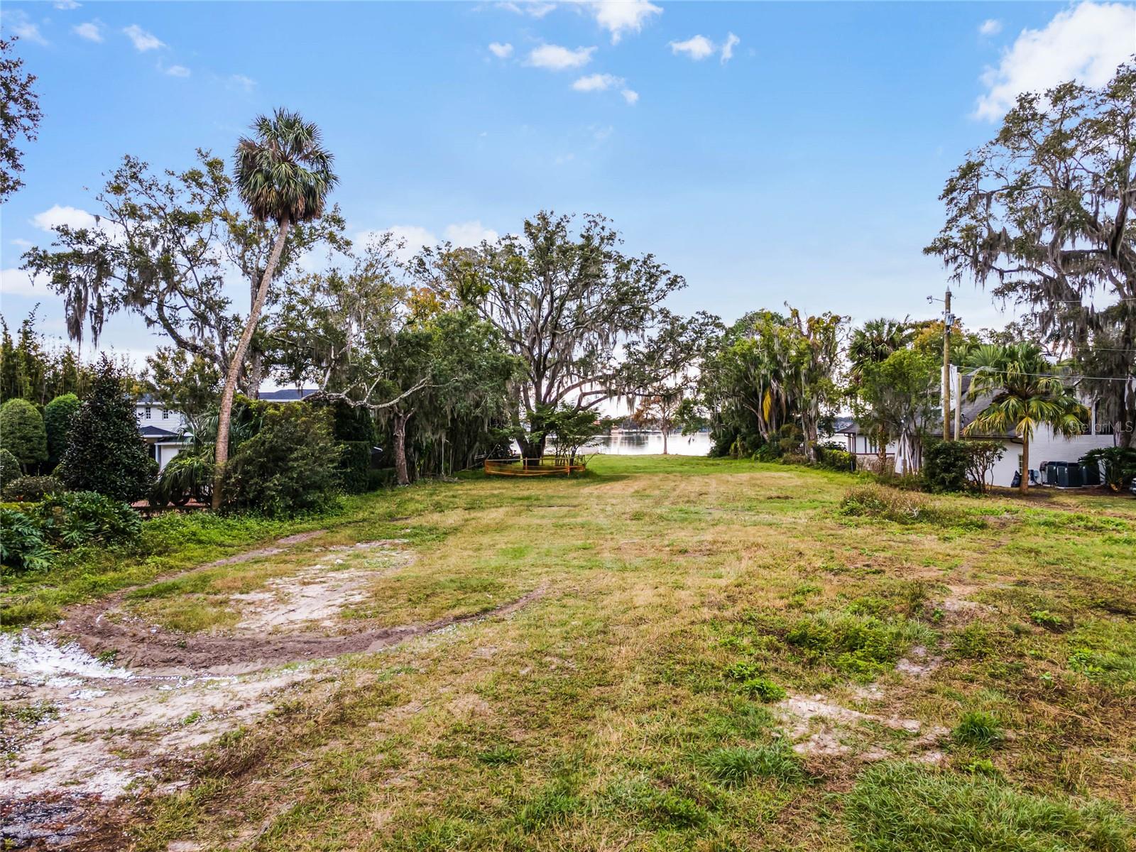 ADAMS GROVE - Land