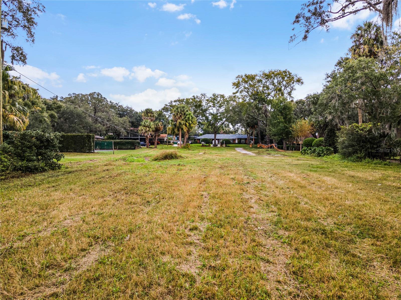 ADAMS GROVE - Land