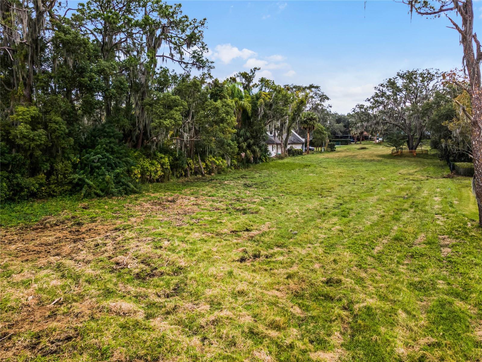 ADAMS GROVE - Land