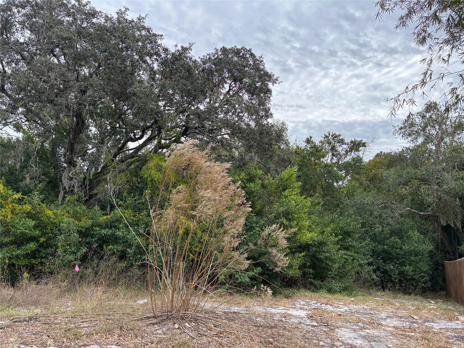 SPRING HILL - Land