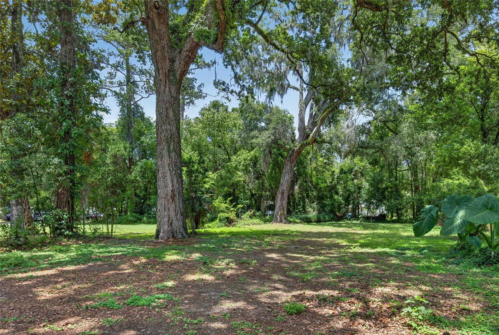 MOUNTAIN PARK - Residential