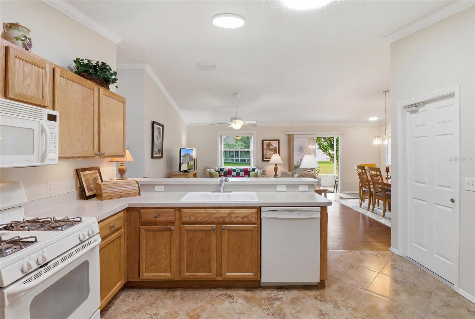 THE VILLAGE OF SUMTER RAINEY VILLAS - Residential