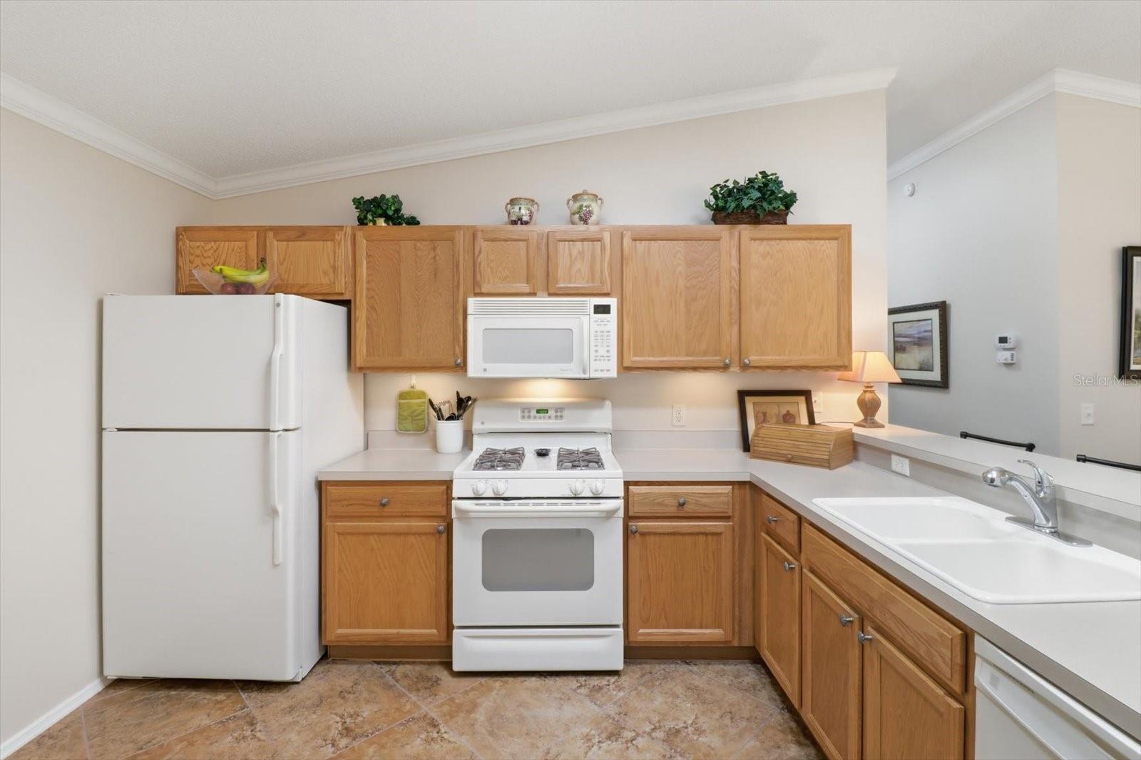 THE VILLAGE OF SUMTER RAINEY VILLAS - Residential