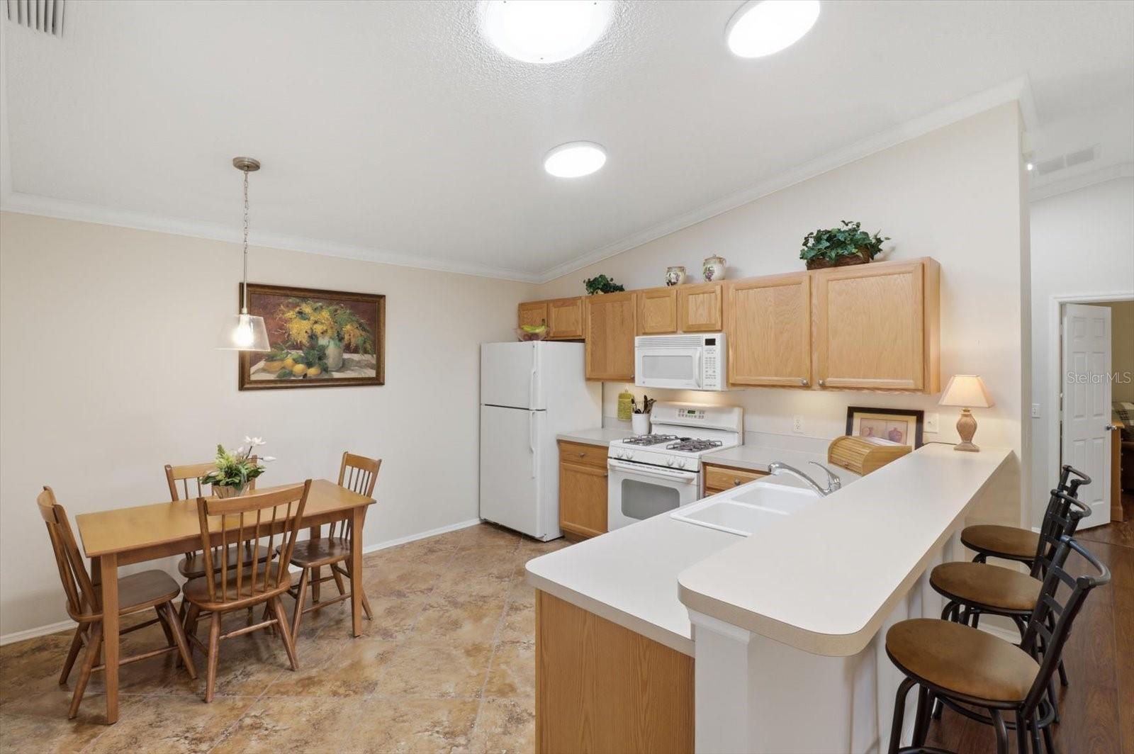 THE VILLAGE OF SUMTER RAINEY VILLAS - Residential
